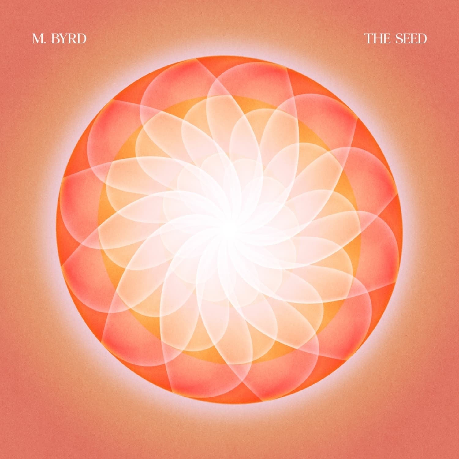  M. Byrd - SEED 
