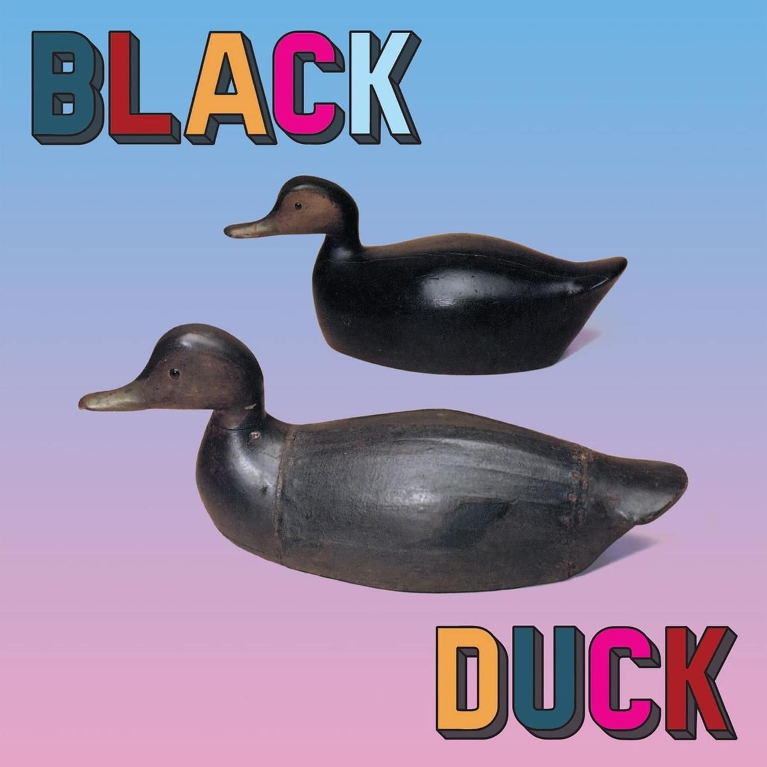 Black Duck - BLACK DUCK 