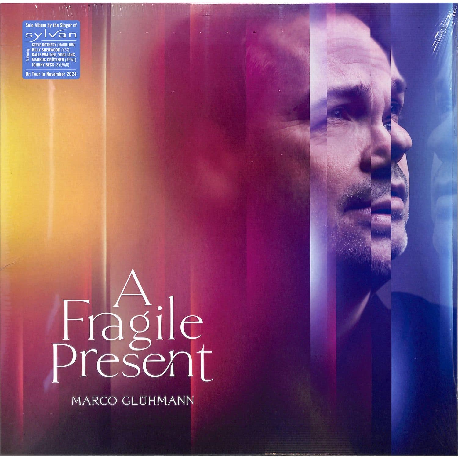 Marco Glhmann - A FRAGILE PRESENT 