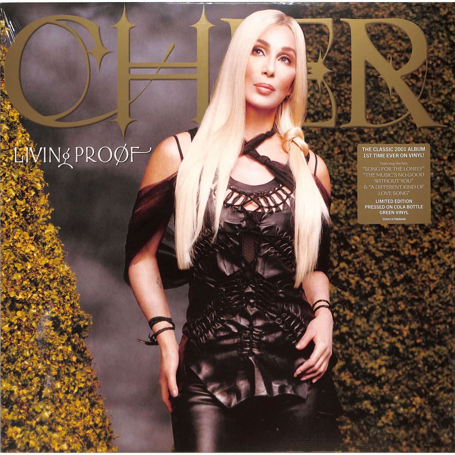 Cher - LIVING PROOF 