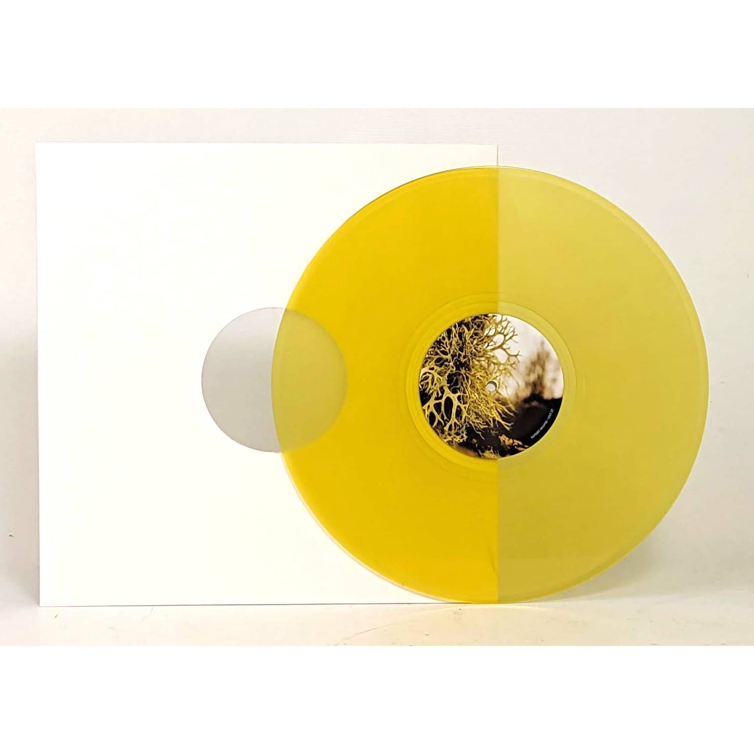Matt Thibideau - SUBDUCTION & SHADOWS 