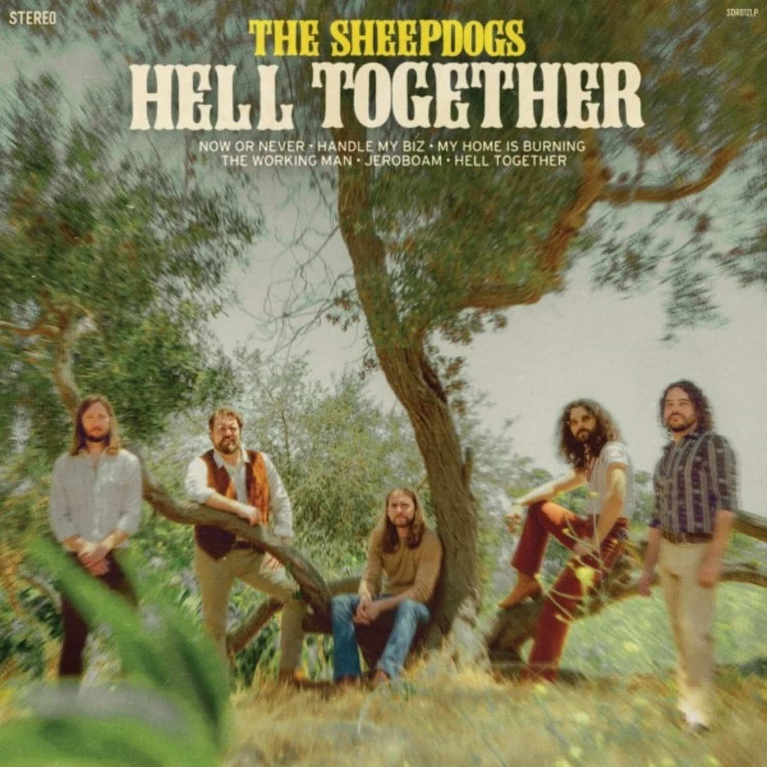 The Sheepdogs - HELL TOGETHER 