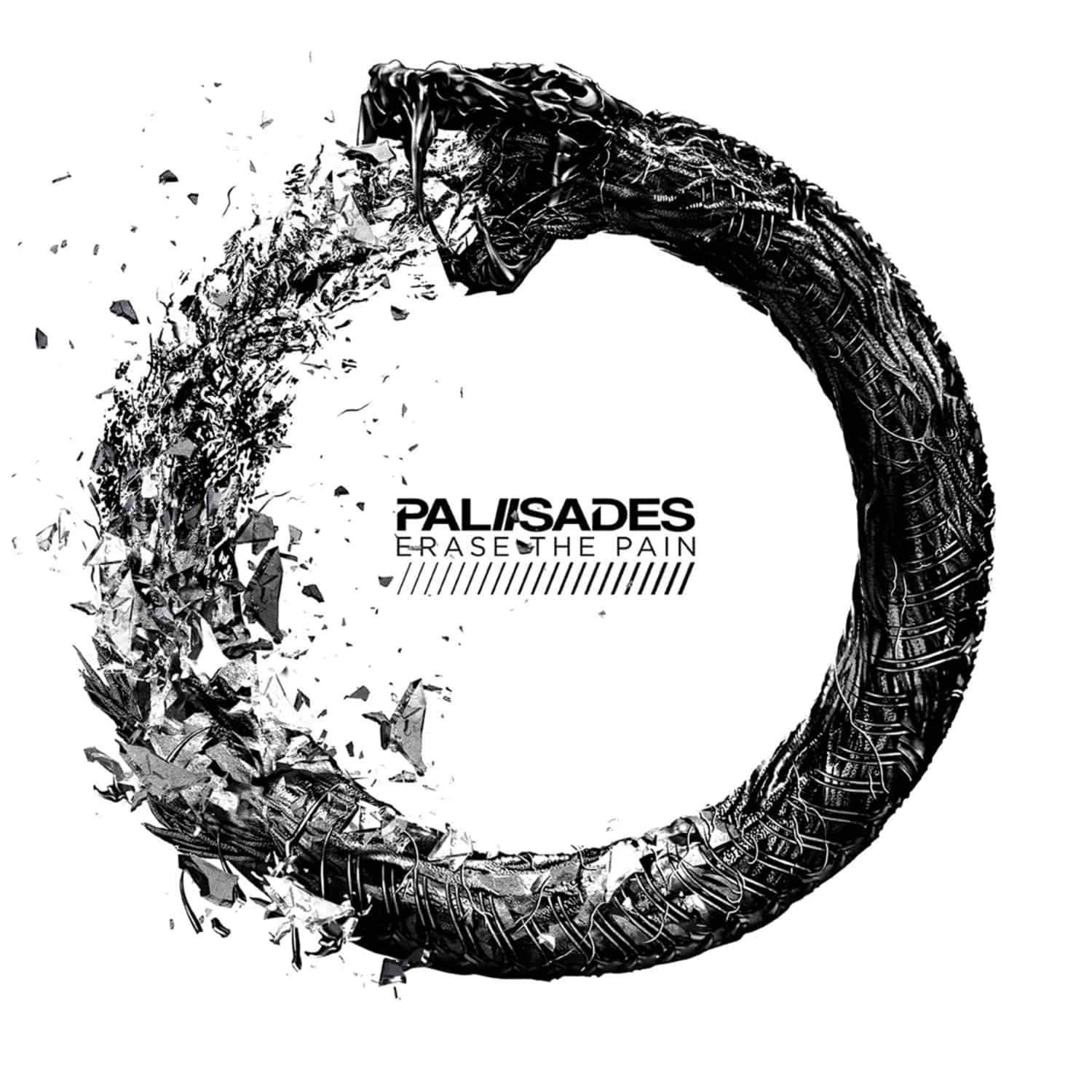 Palisades - ERASE THE PAIN 
