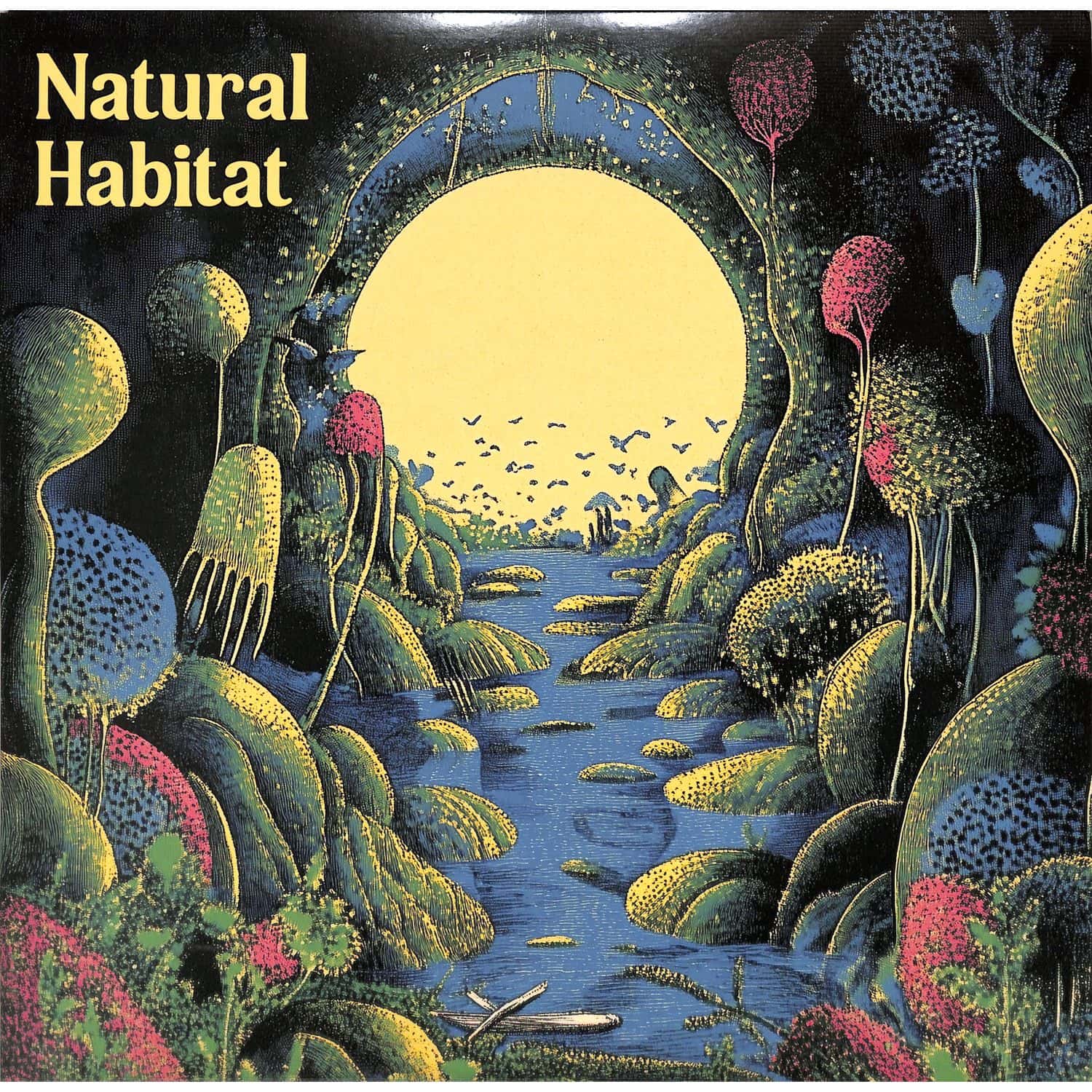 Indi Zone - NATURAL HABITAT 