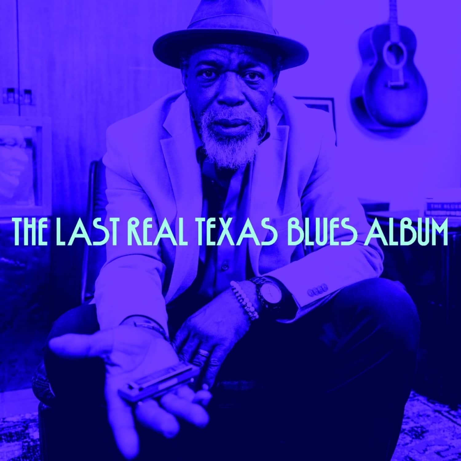 Various - THE LAST REAL TEXAS BLUES ALBUM 