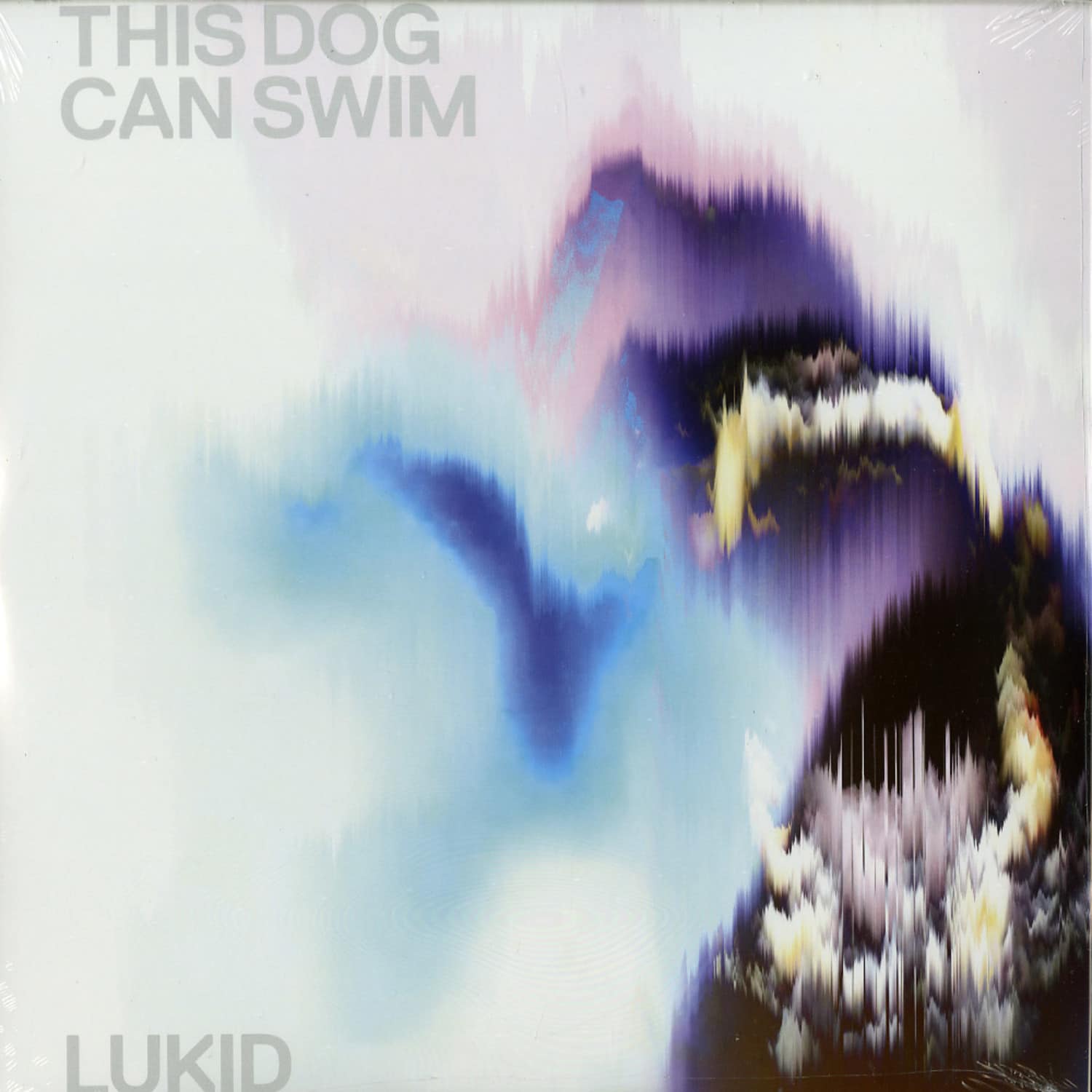 Lukid - THIS DOG CAN SWIM