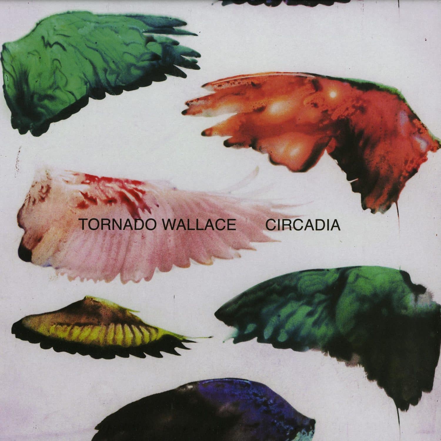 Tornado Wallace - CIRCADIA