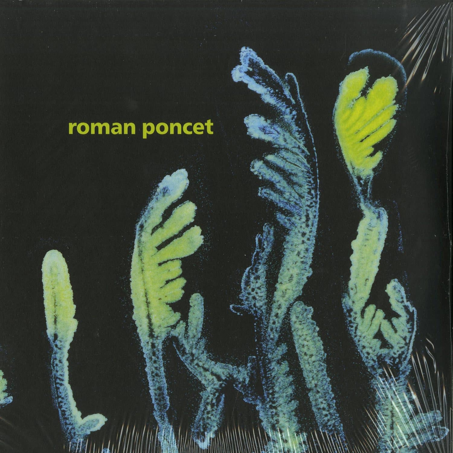 Roman Poncet - GYPSOPHILA 