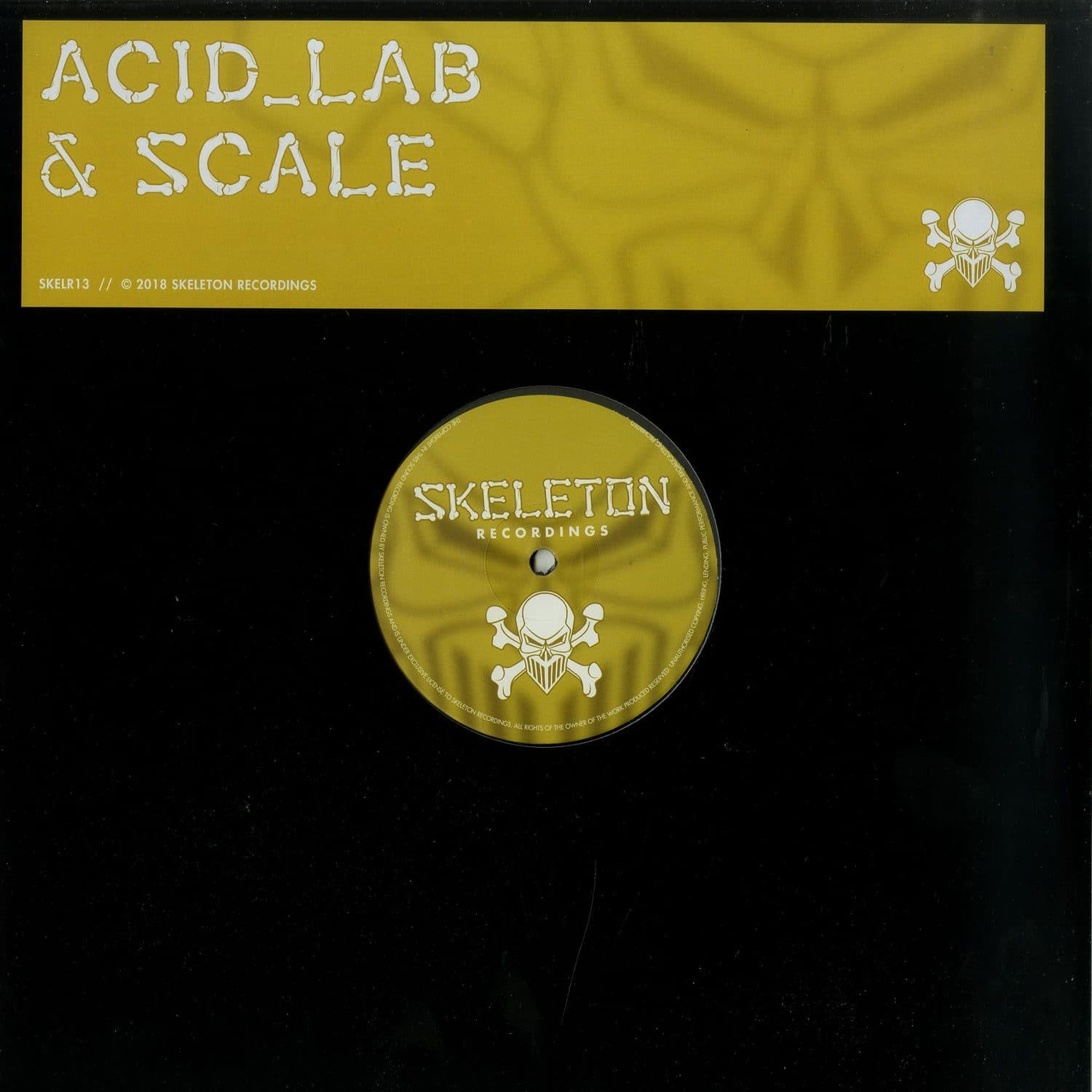 Acid Lab & Scale - SKELR13