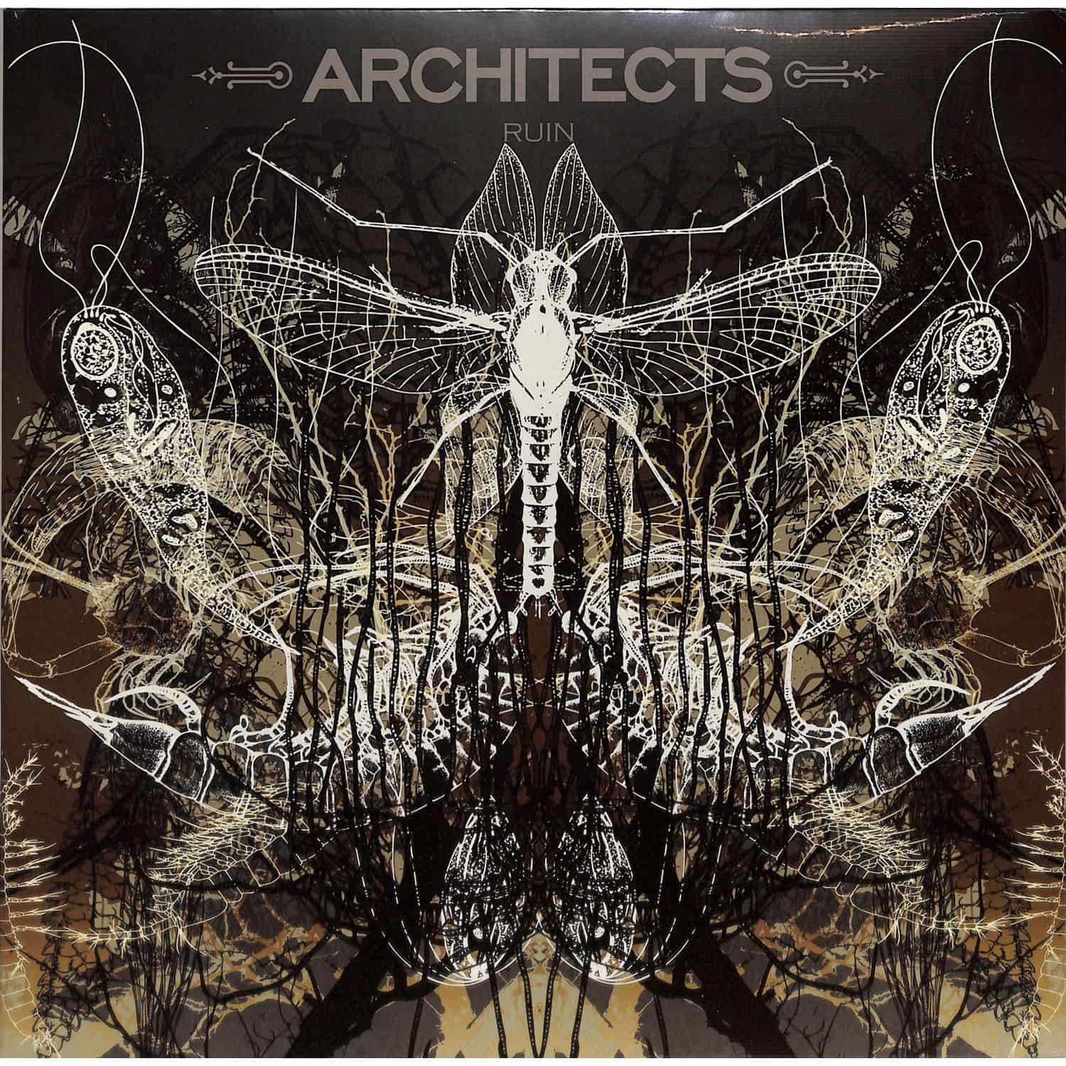 Architects - RUIN 
