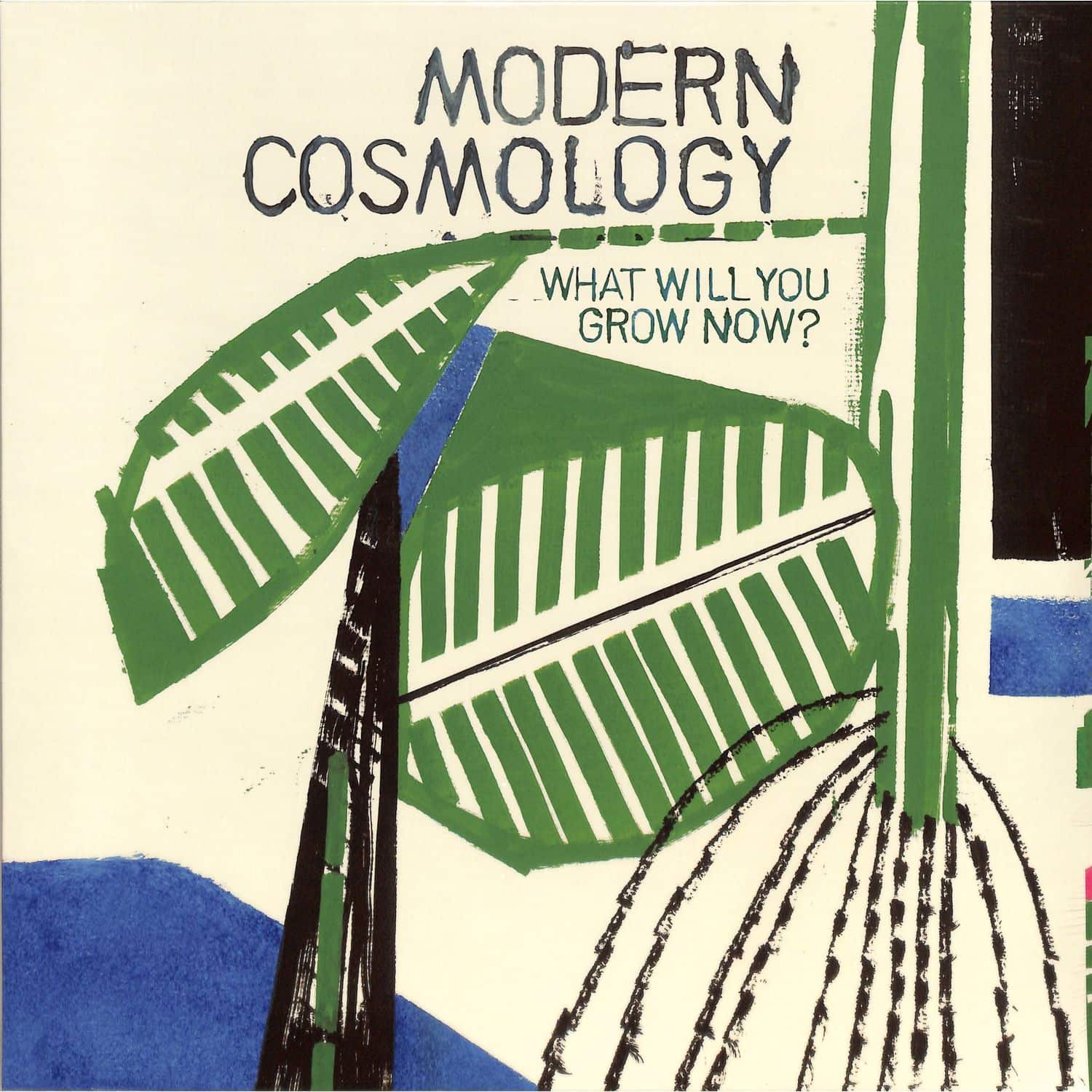 Modern Cosmology - WHAT WILL YOU GROW NOW? 