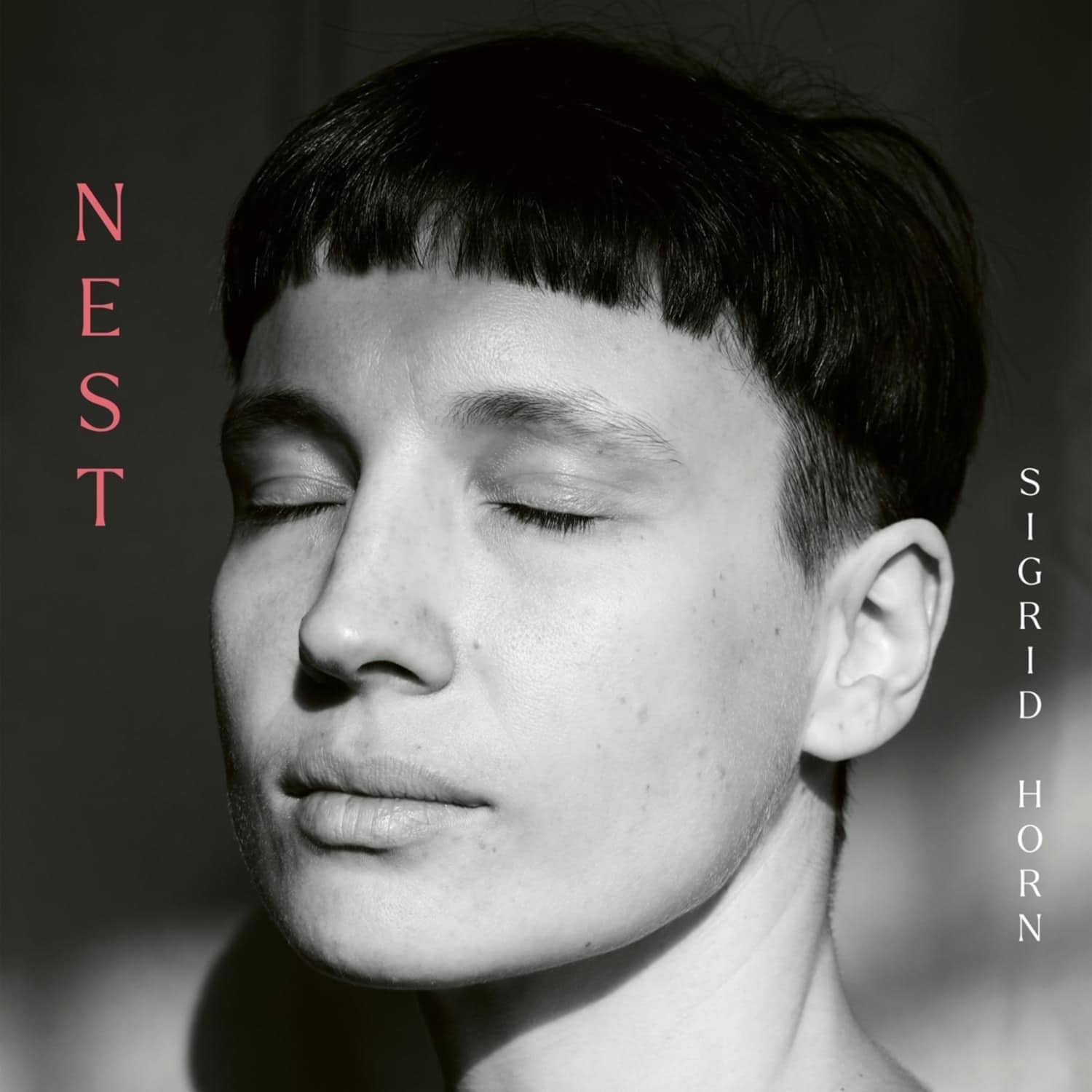 Sigrid Horn - NEST 