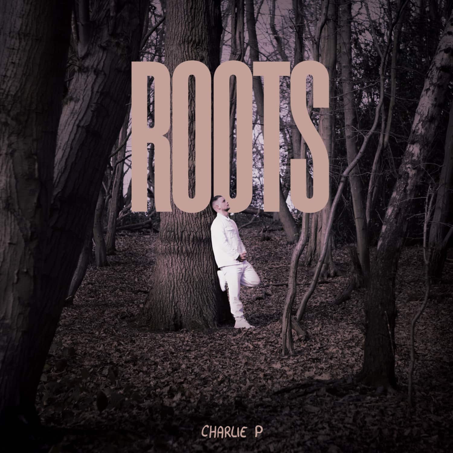 Charlie P - ROOTS 