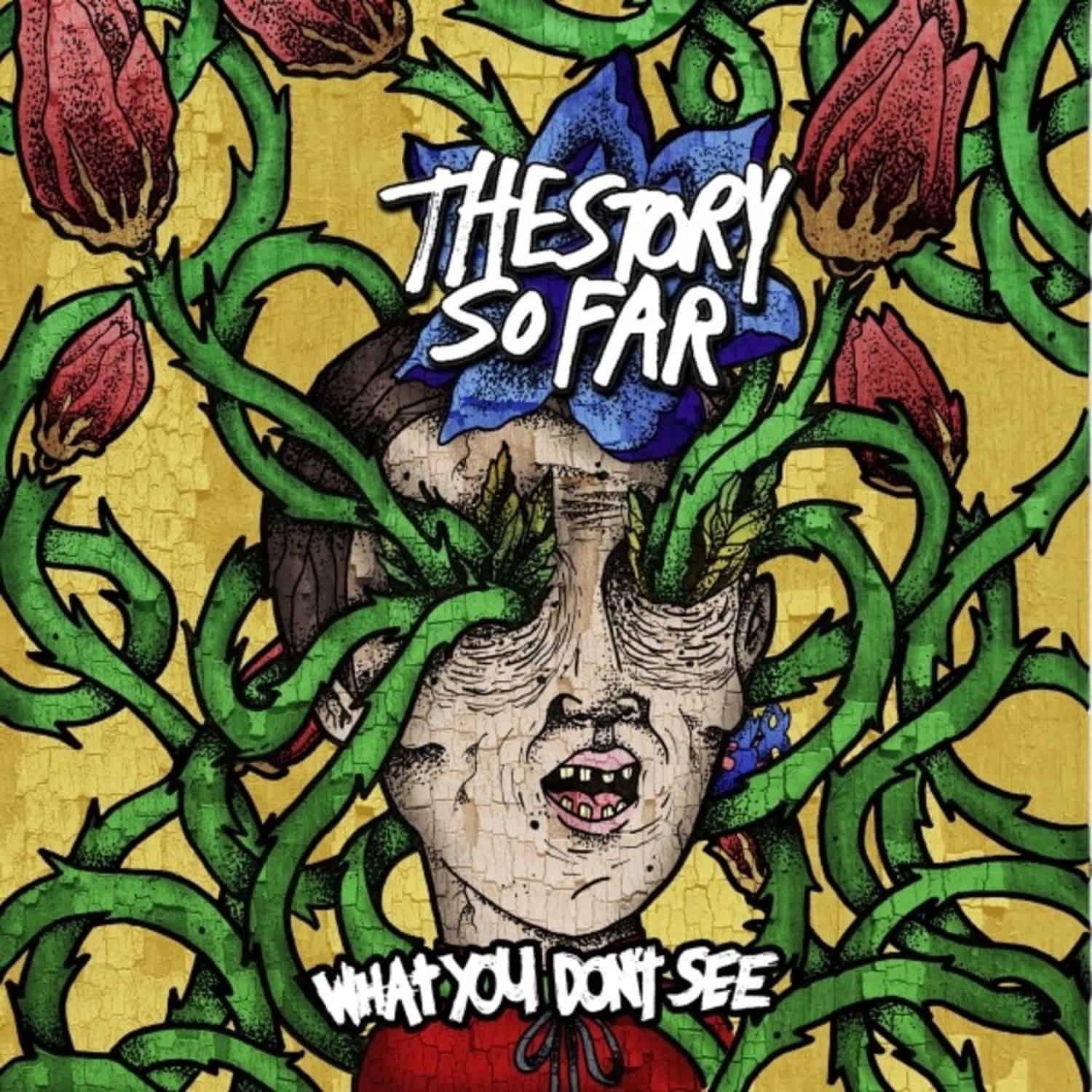 The Story So Far - WHAT YOU DON T SEE 