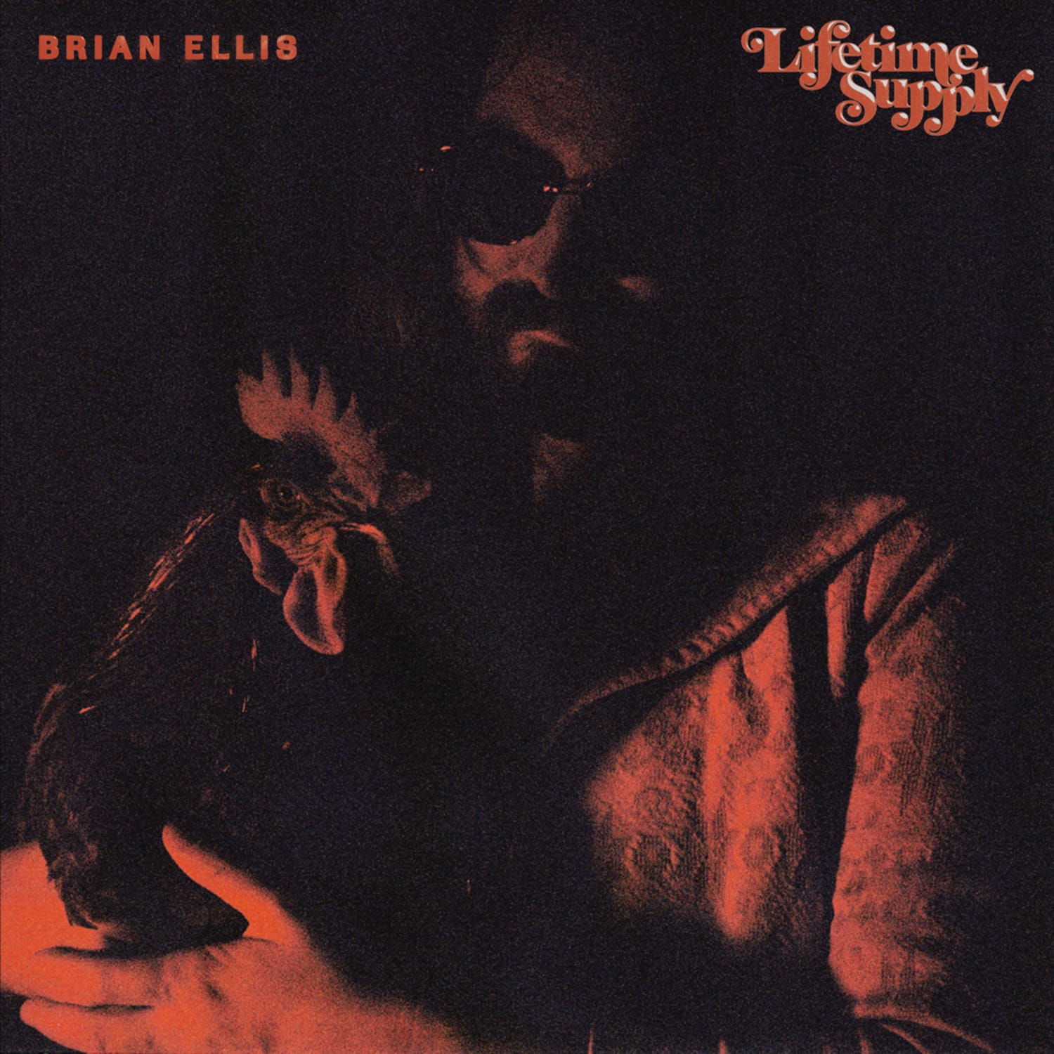 Brian Ellis - LIFETIME SUPPLY 