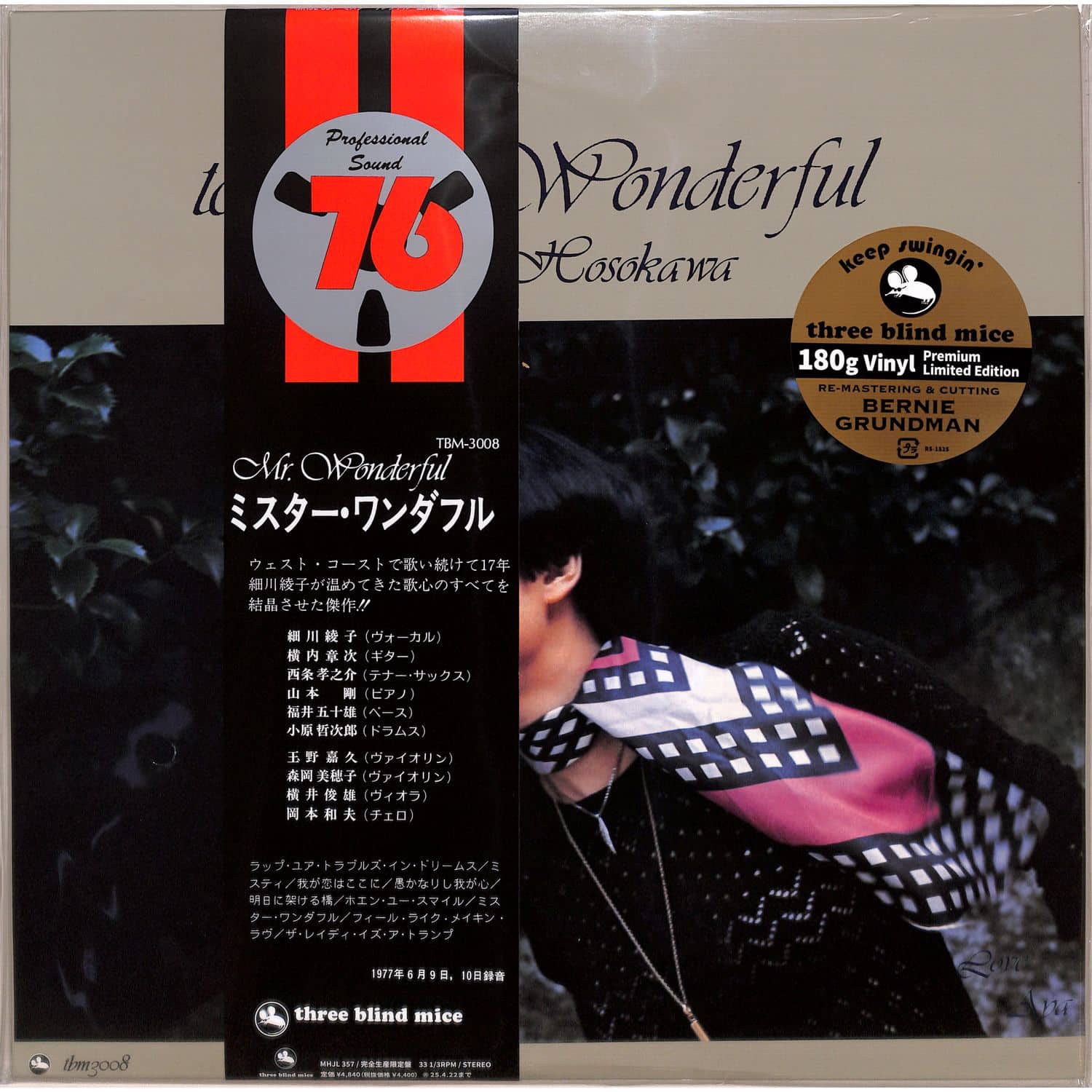 Hosokawa Ayako - TO MR. WONDERFUL 