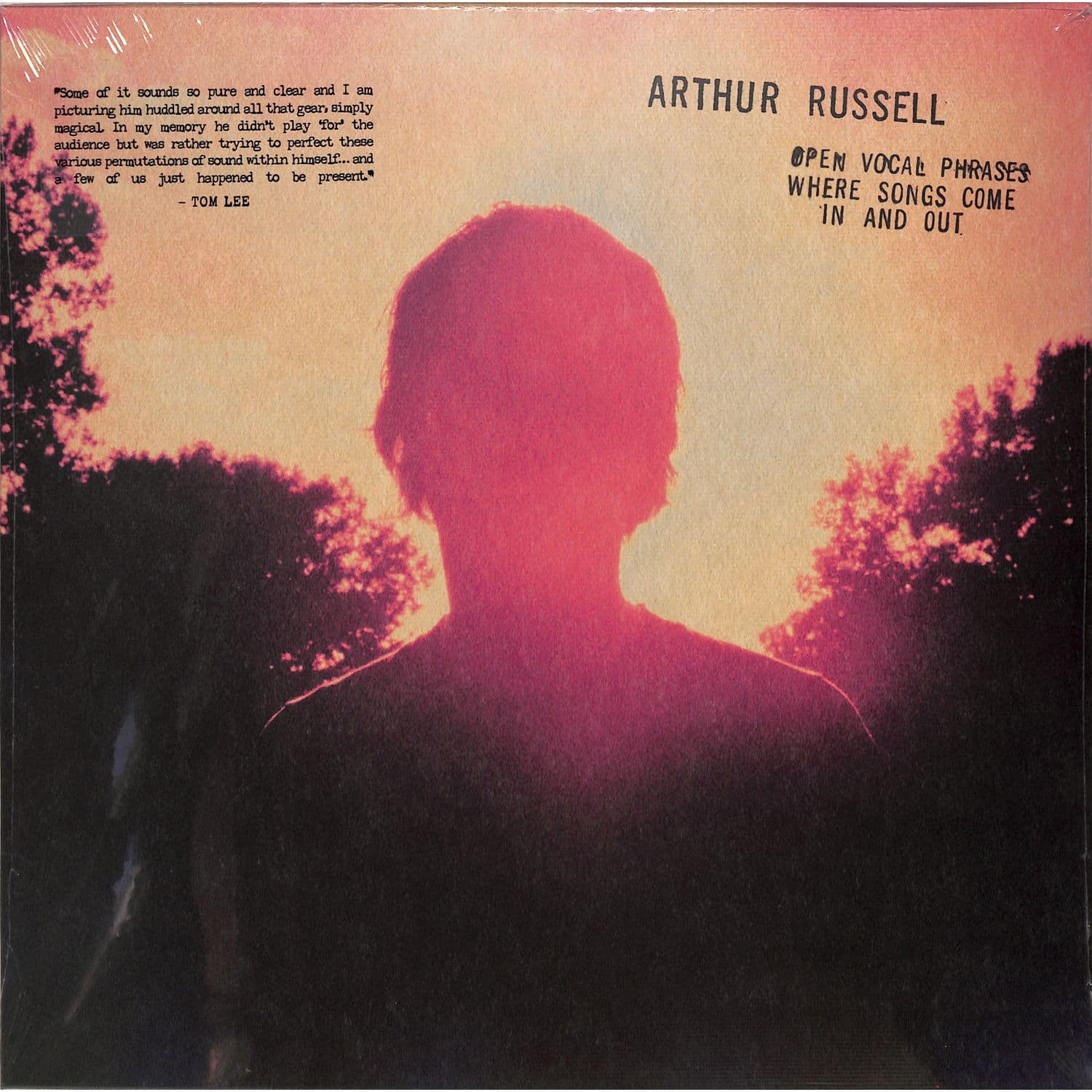 Arthur Russell - OPEN VOCAL PHRASES WHERE SONGS COME IN AND OUT 
