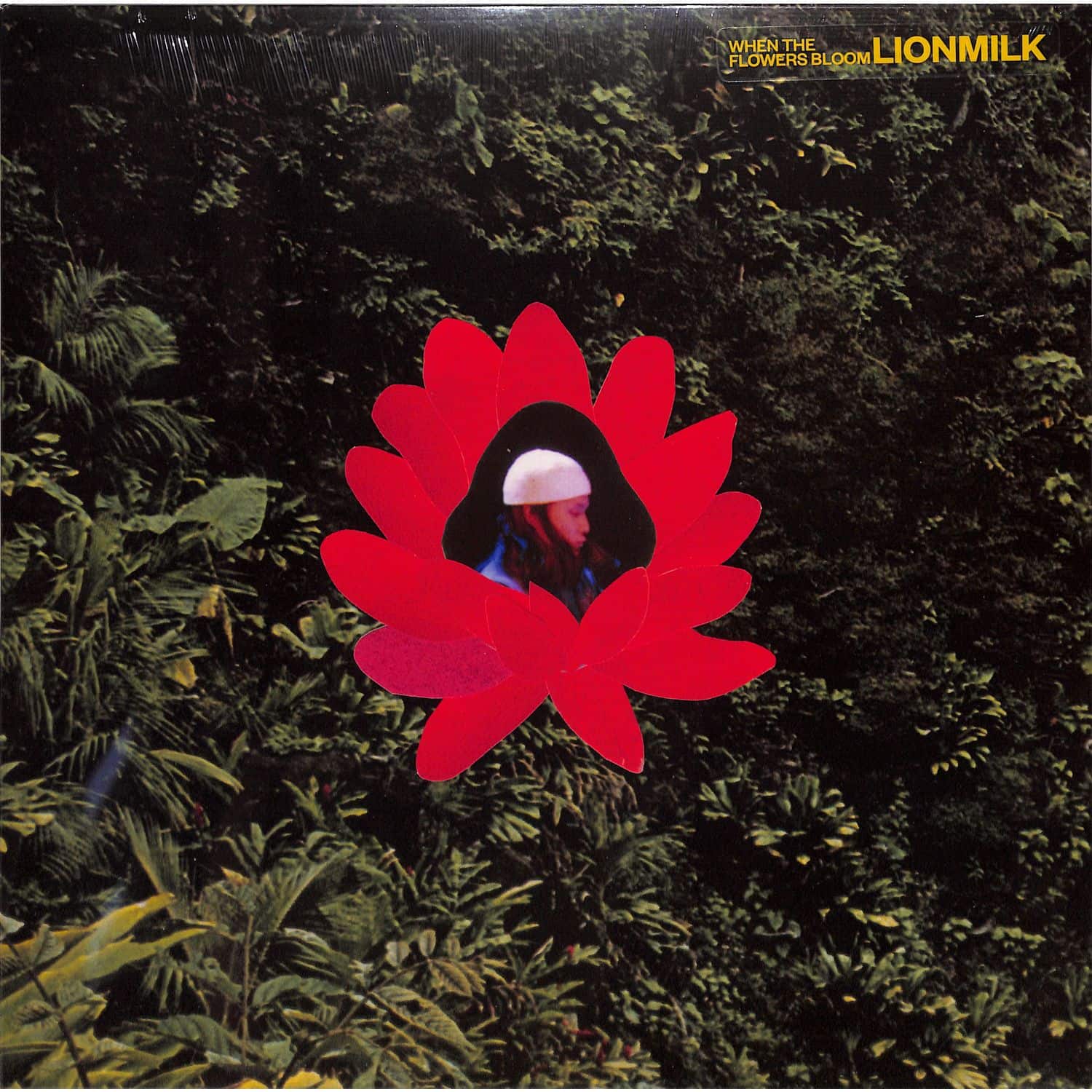 Lionmilk - WHEN THE FLOWERS BLOOM 