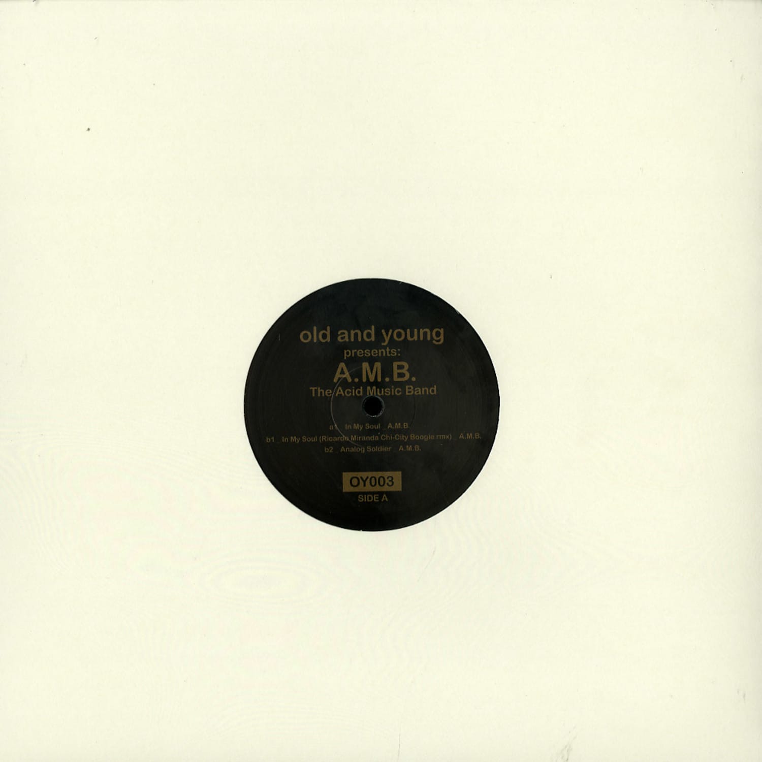 A.M.B. - THE ACID MUSIC BAND 