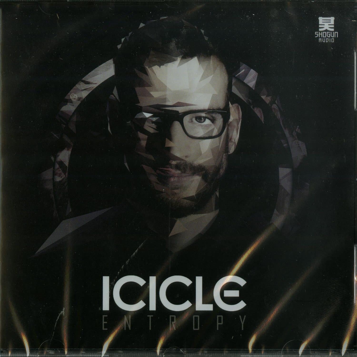 Icicle - ENTROPY LP