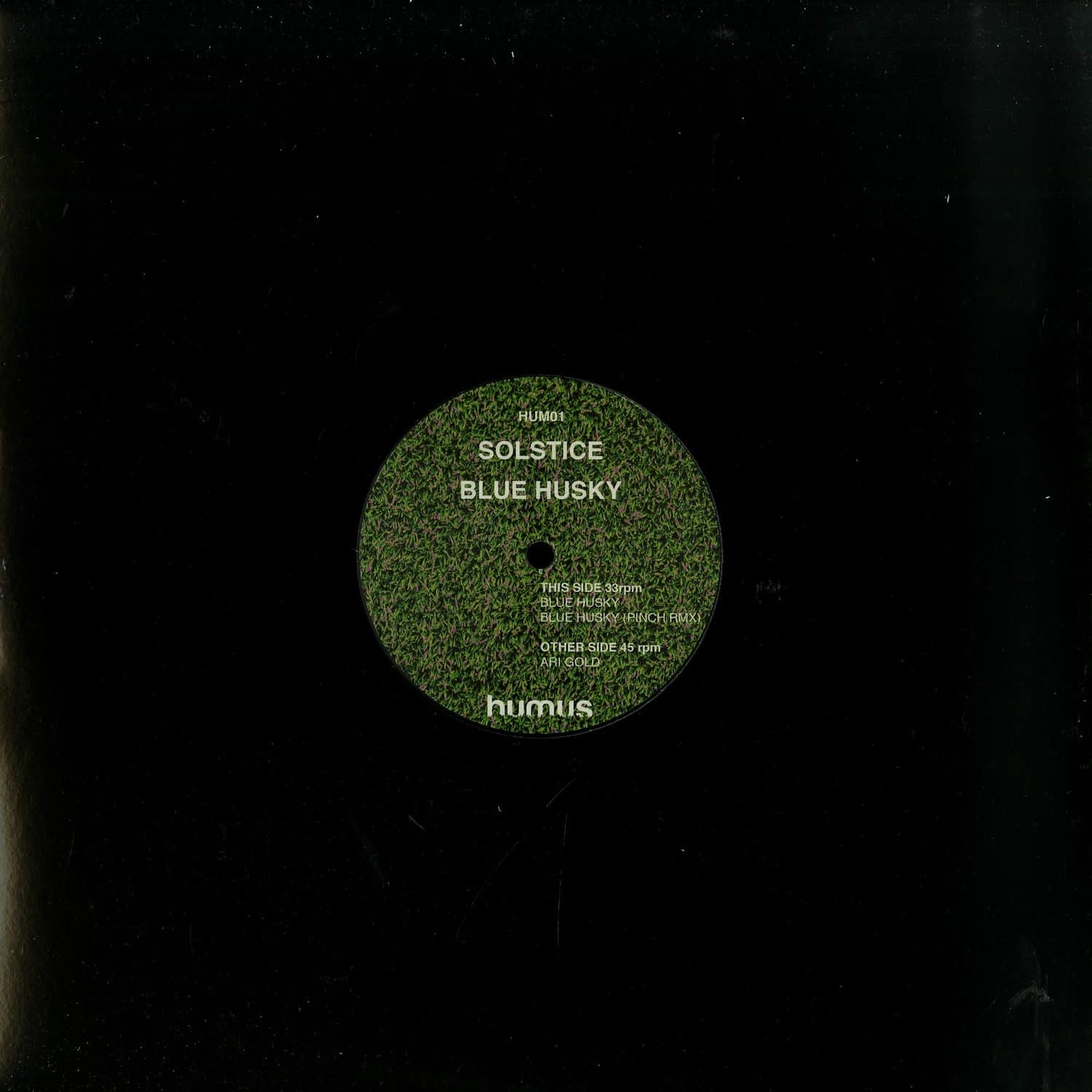 Solstice - BLUE HUSKY