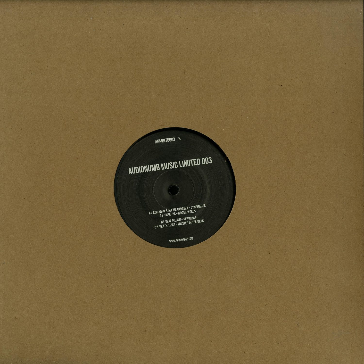 V/A  - AUDIONUMB MUSIC LIMITED 003