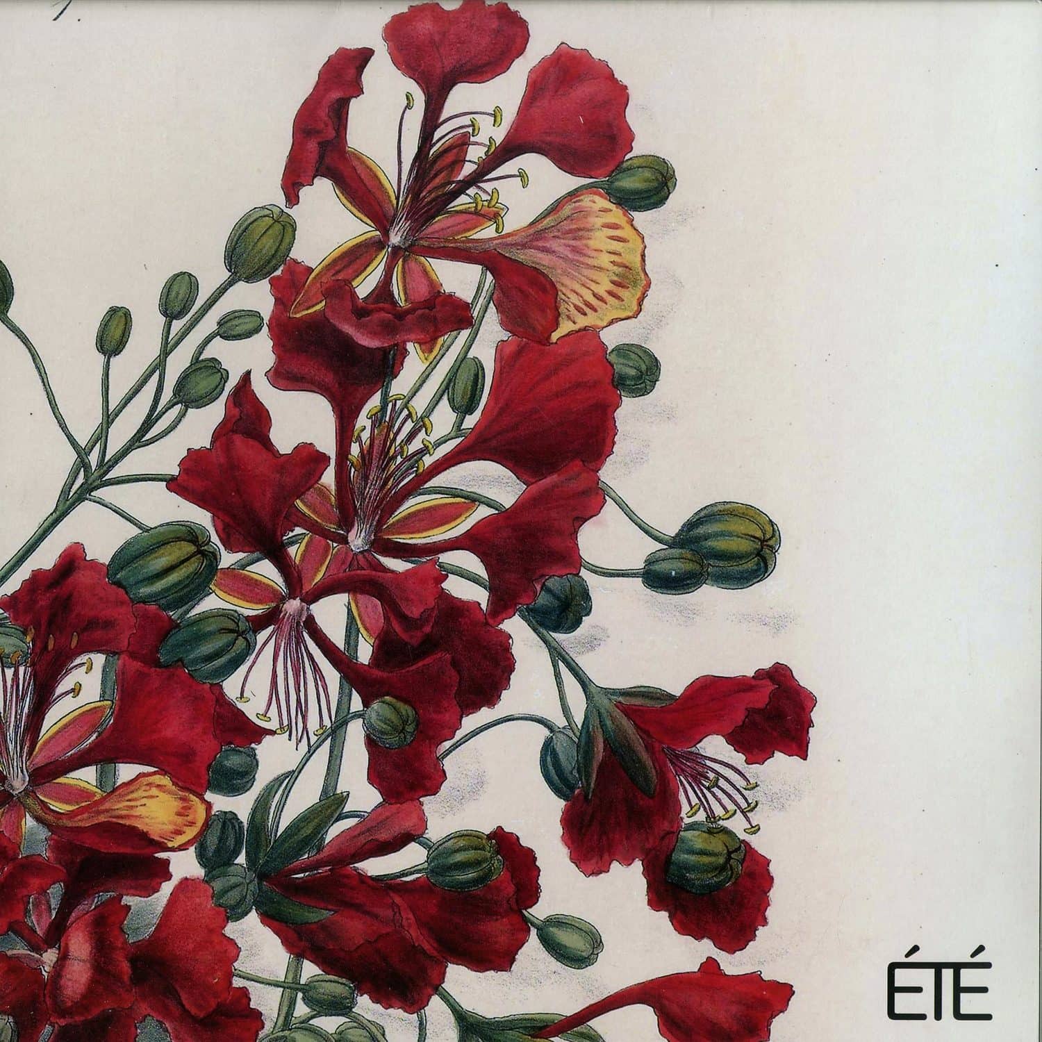 Dj W!ld - WE ARE NOT CHICAGO