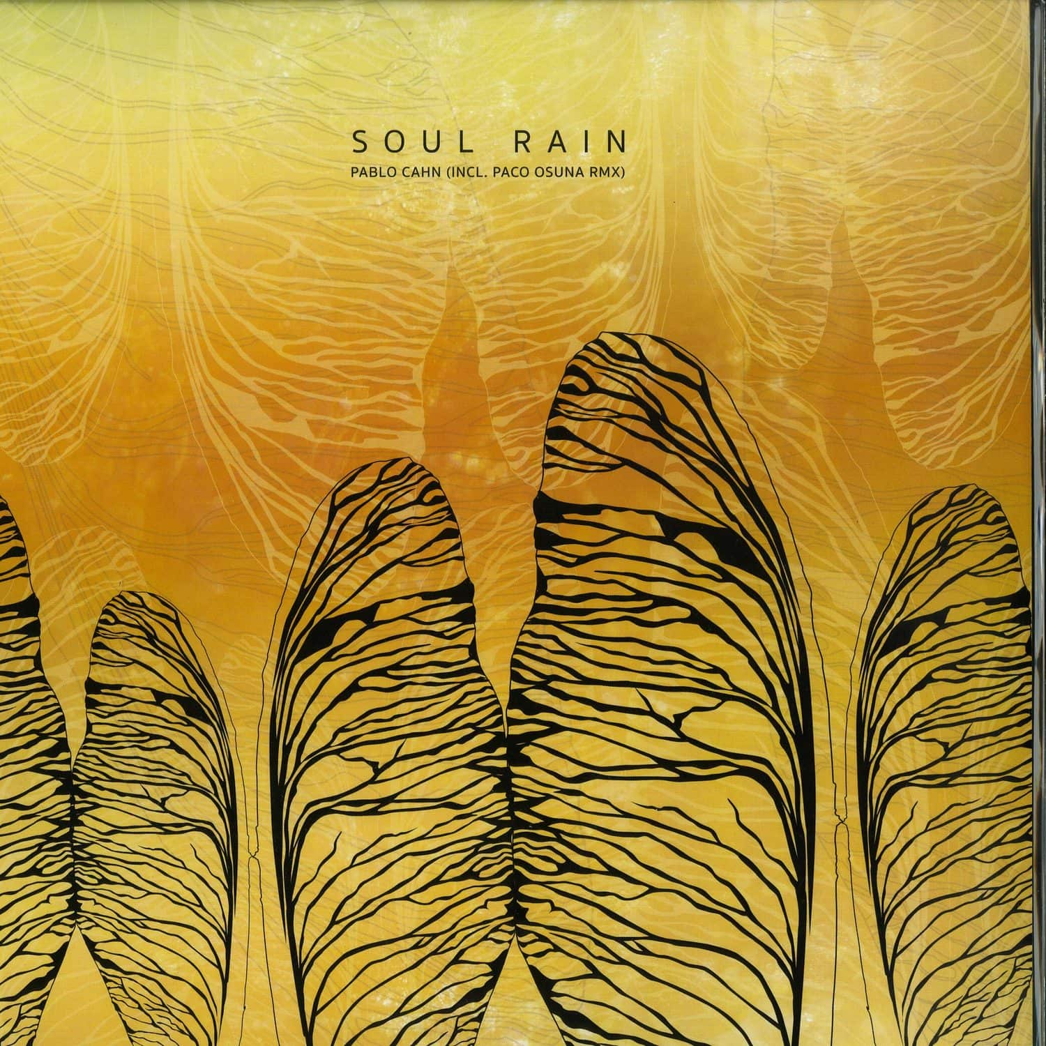 Pablo Cahn - SOUL RAIN 