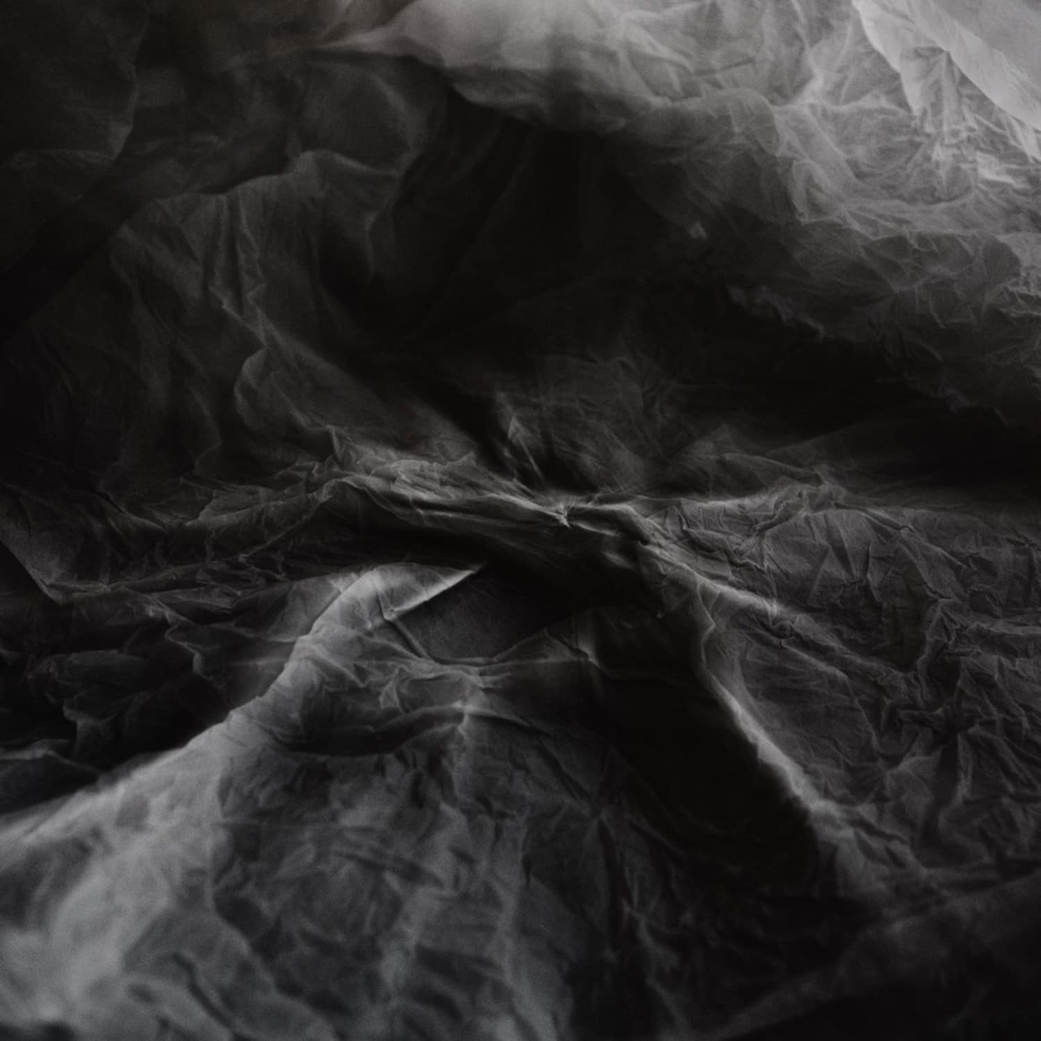 Julia Kent & Jean D.L. - THE GREAT LAKE SWALLOWS