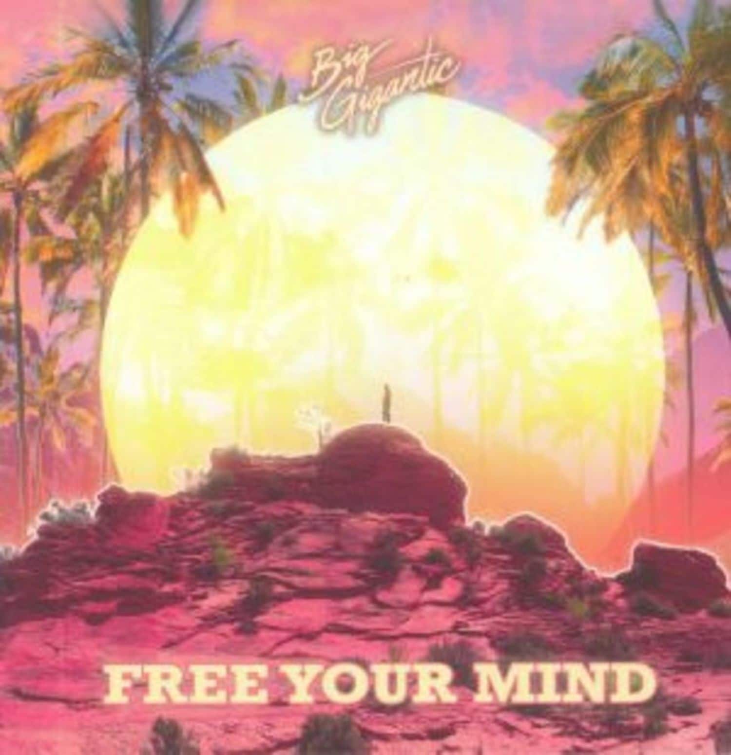 Big Gigantic - FREE YOUR MIND 