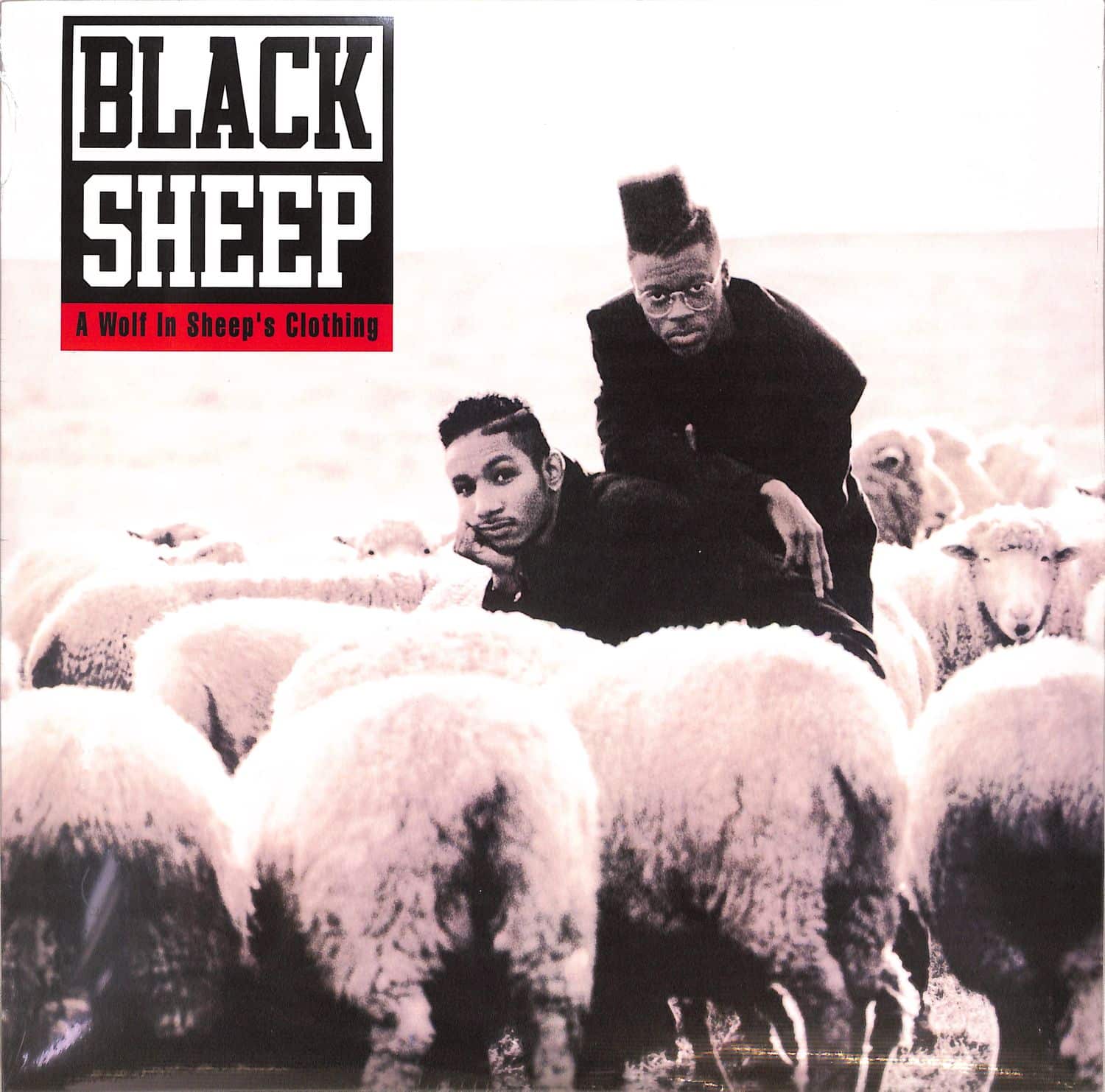 Black Sheep - A WOLF IN SHEEPS CLOTHING 