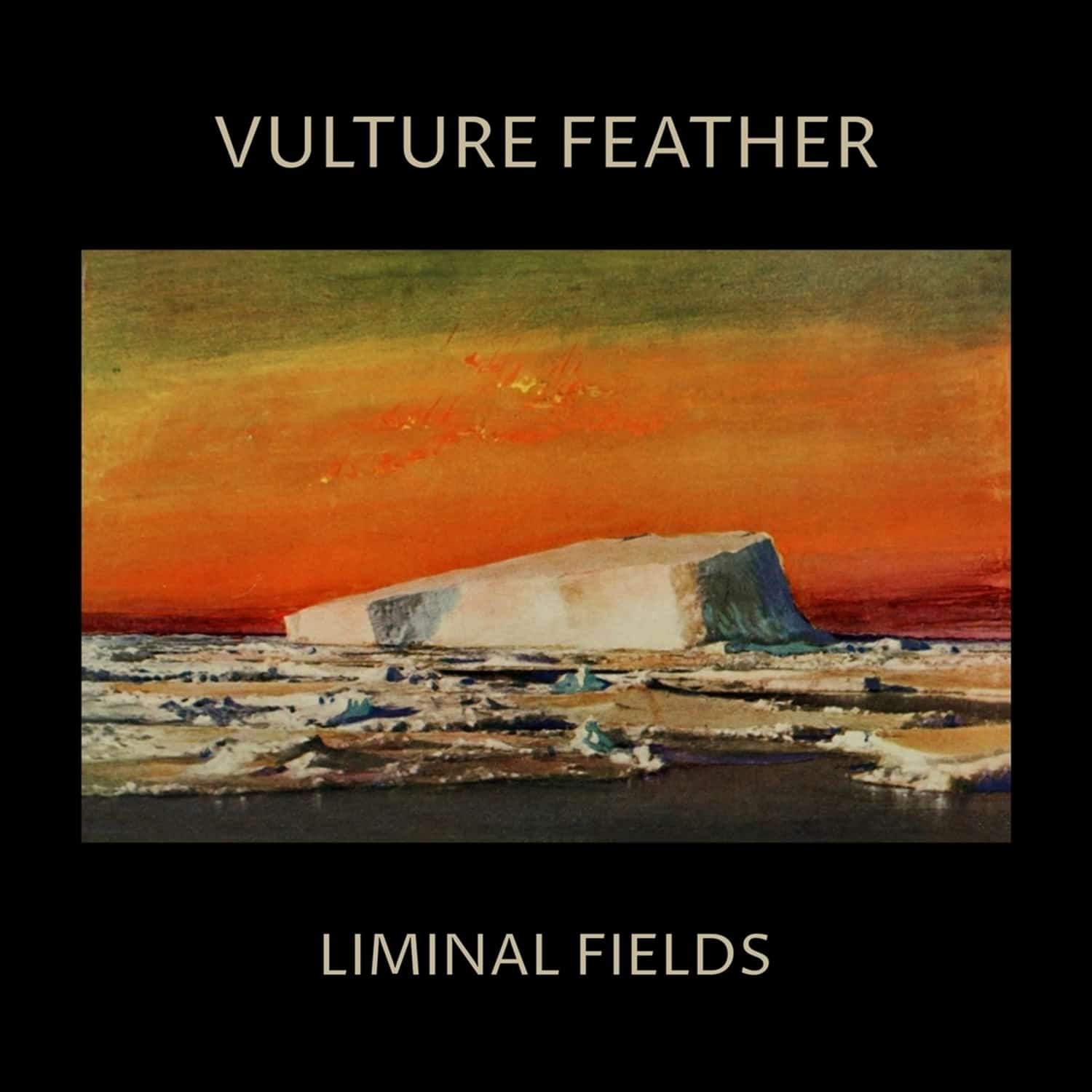 Vulture Feather - LIMINAL FIELDS 