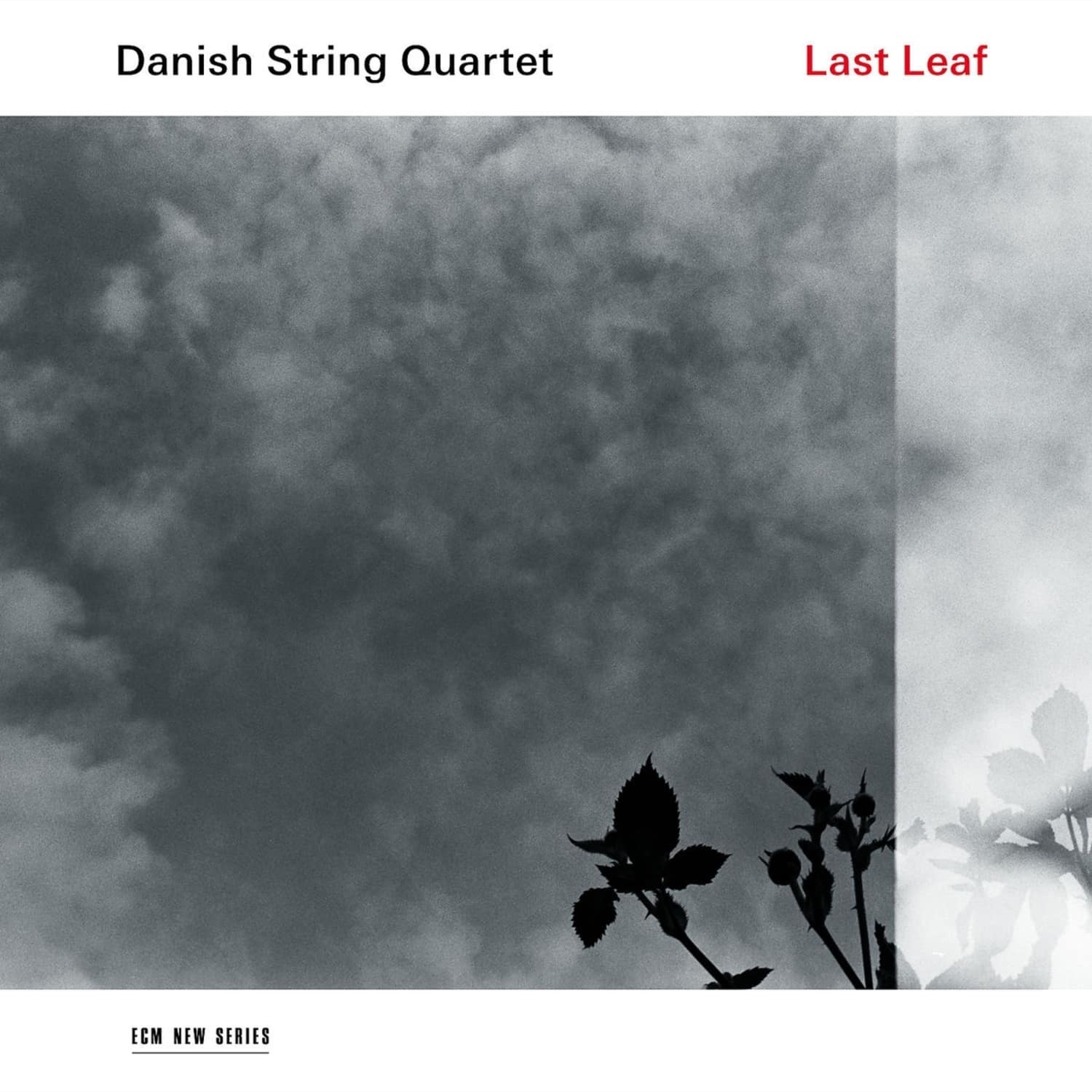 Danish String Quartet / Various - LAST LEAF 