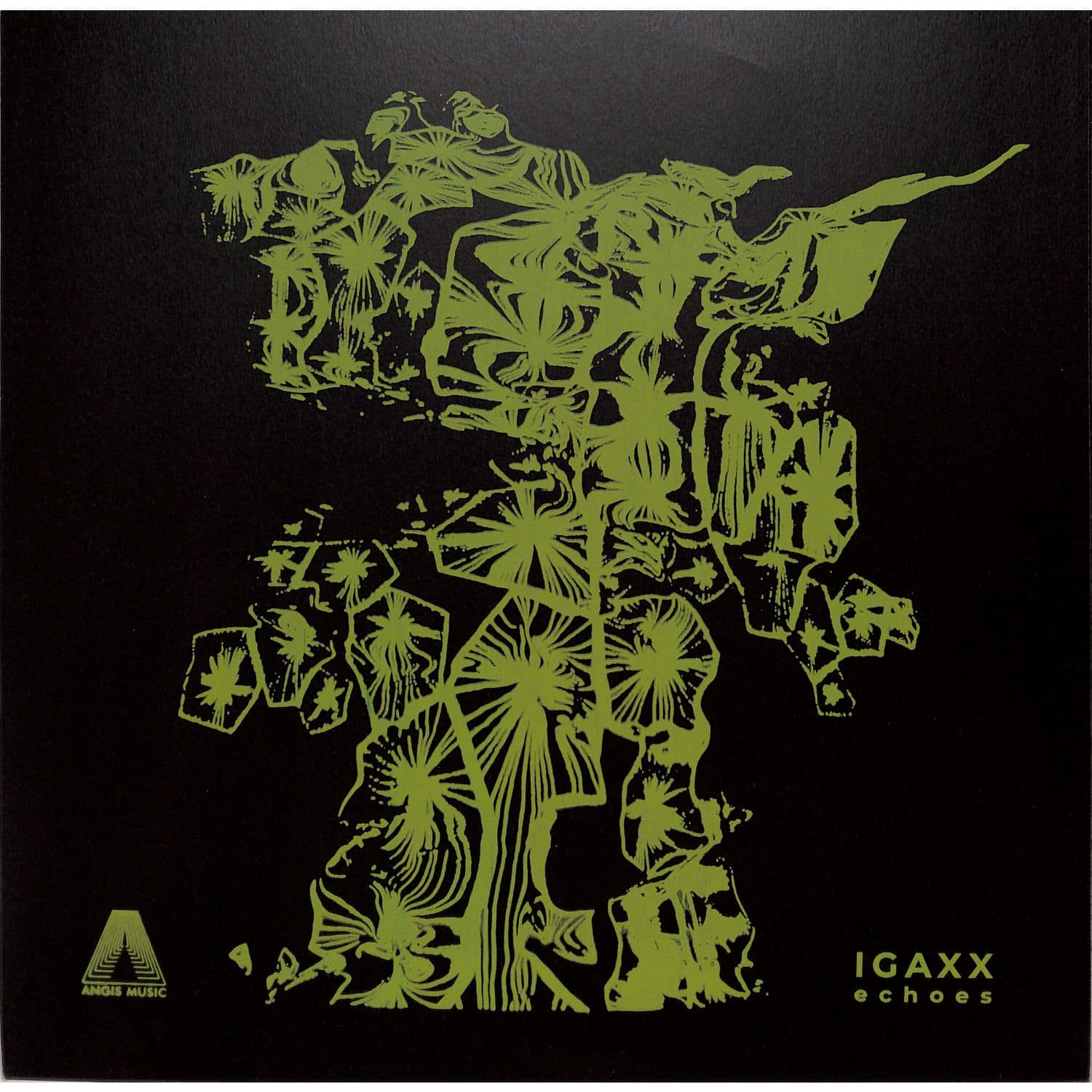 Igaxx - ECHOES 