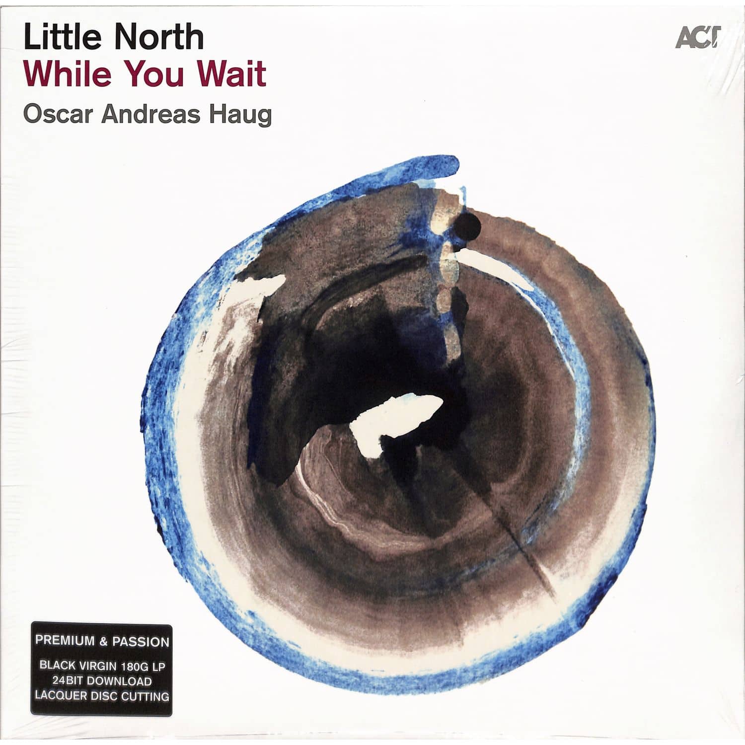 Little North - WHILE YOU WAIT 