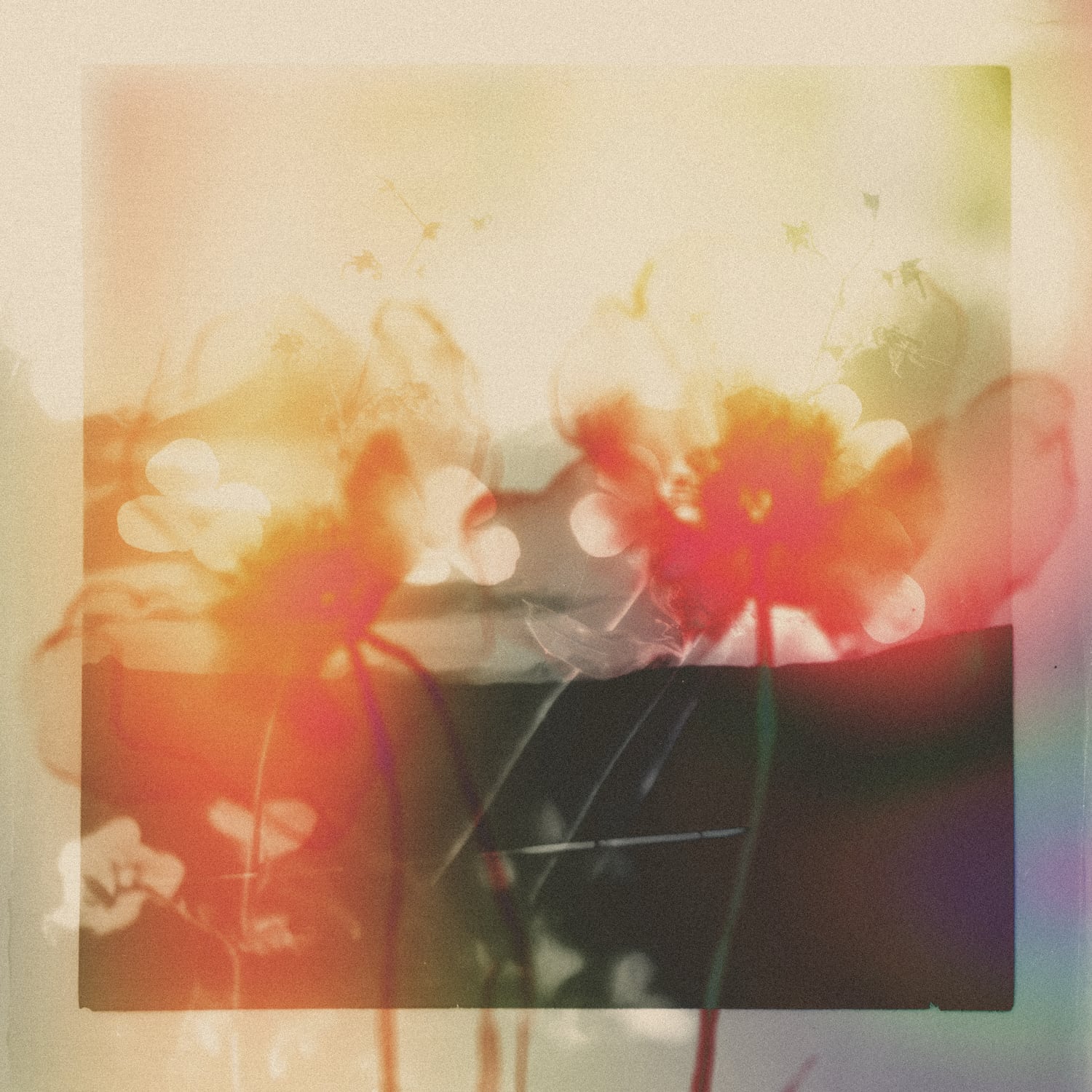 gyrofield - AKIN / MOTHER