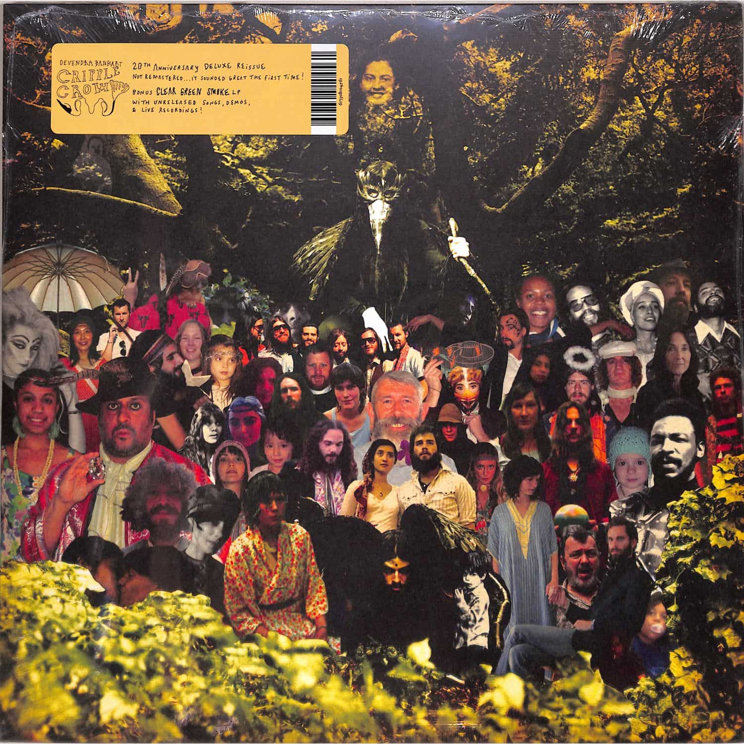 Devendra Banhart - CRIPPLE CROW 