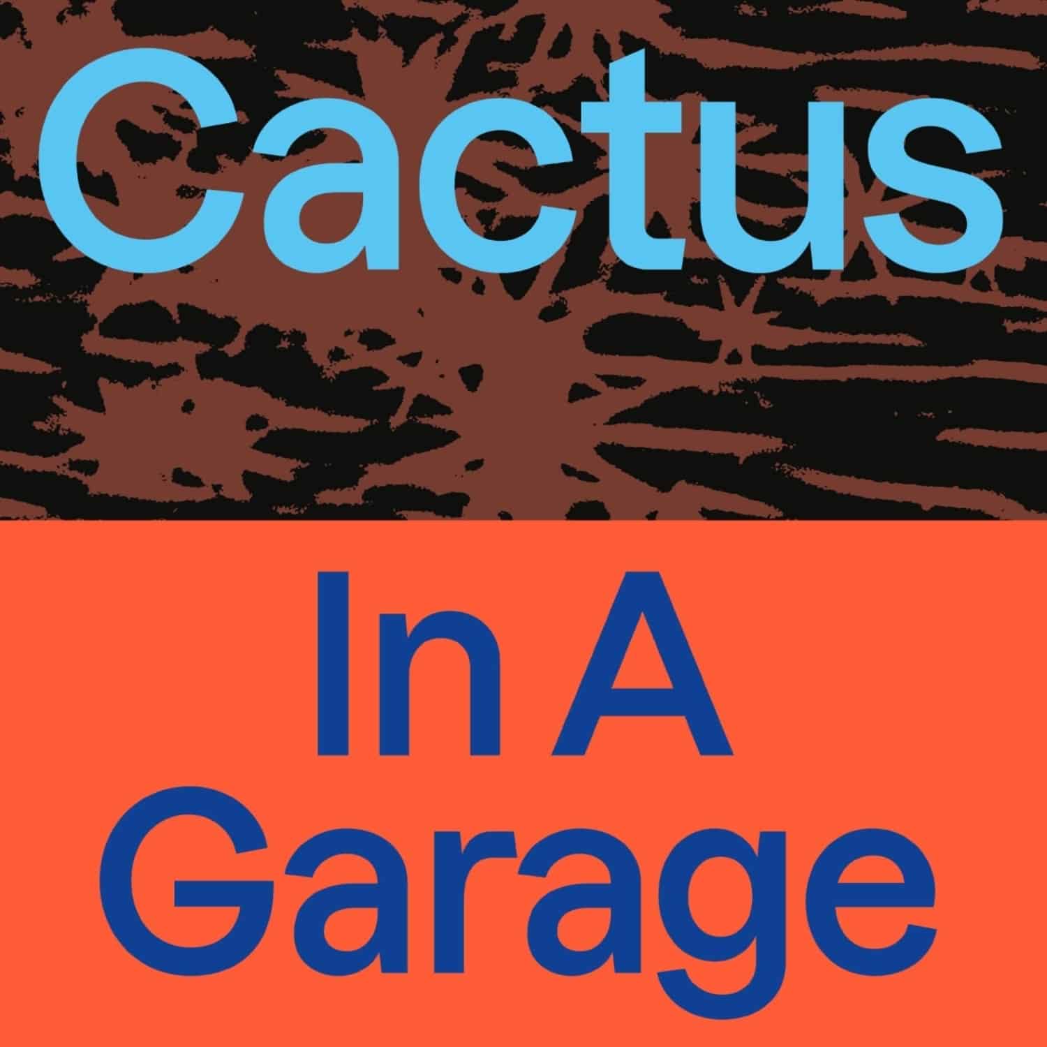Cactus - IN A GARAGE 