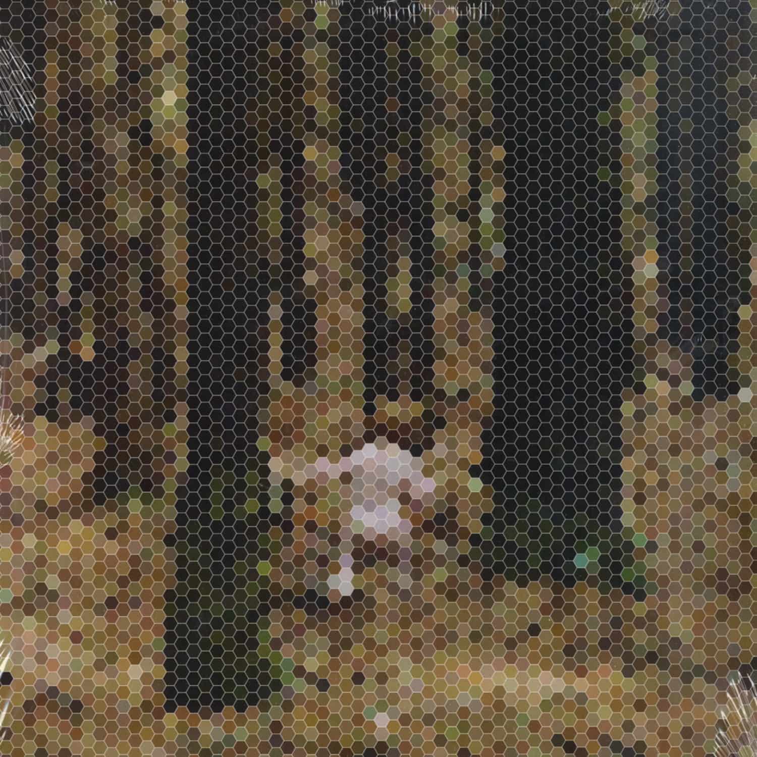 Principles Of Geometry - A MOUNTAIN FOR PRESIDENT