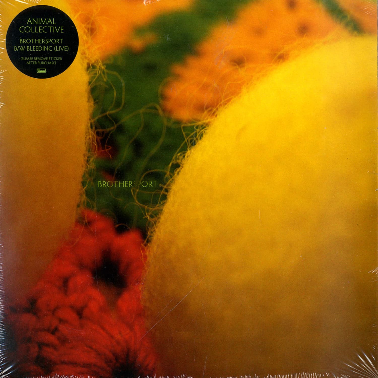 Animal Collective - BROTHER SPORT 
