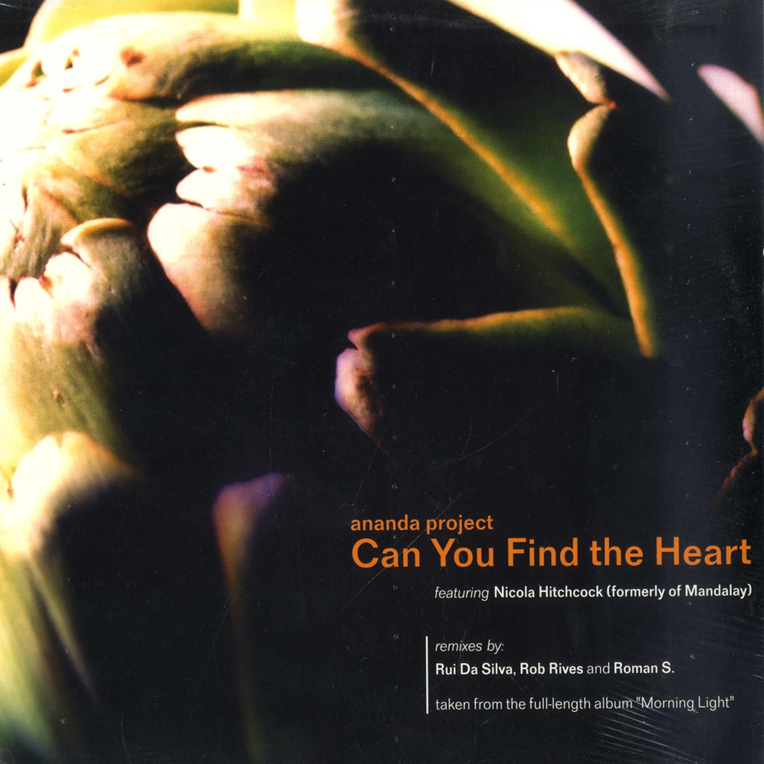 Ananada Project - CAN YOU FIND THE HEART
