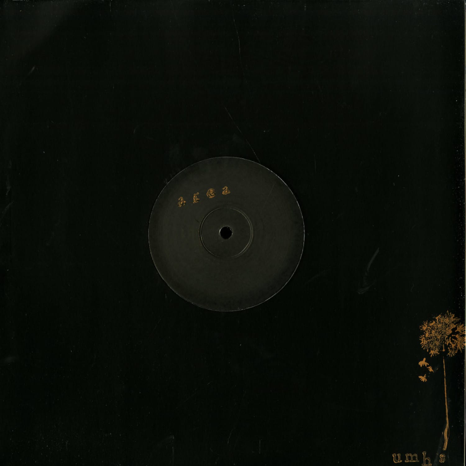 Area - NOT WAITING ANYMORE