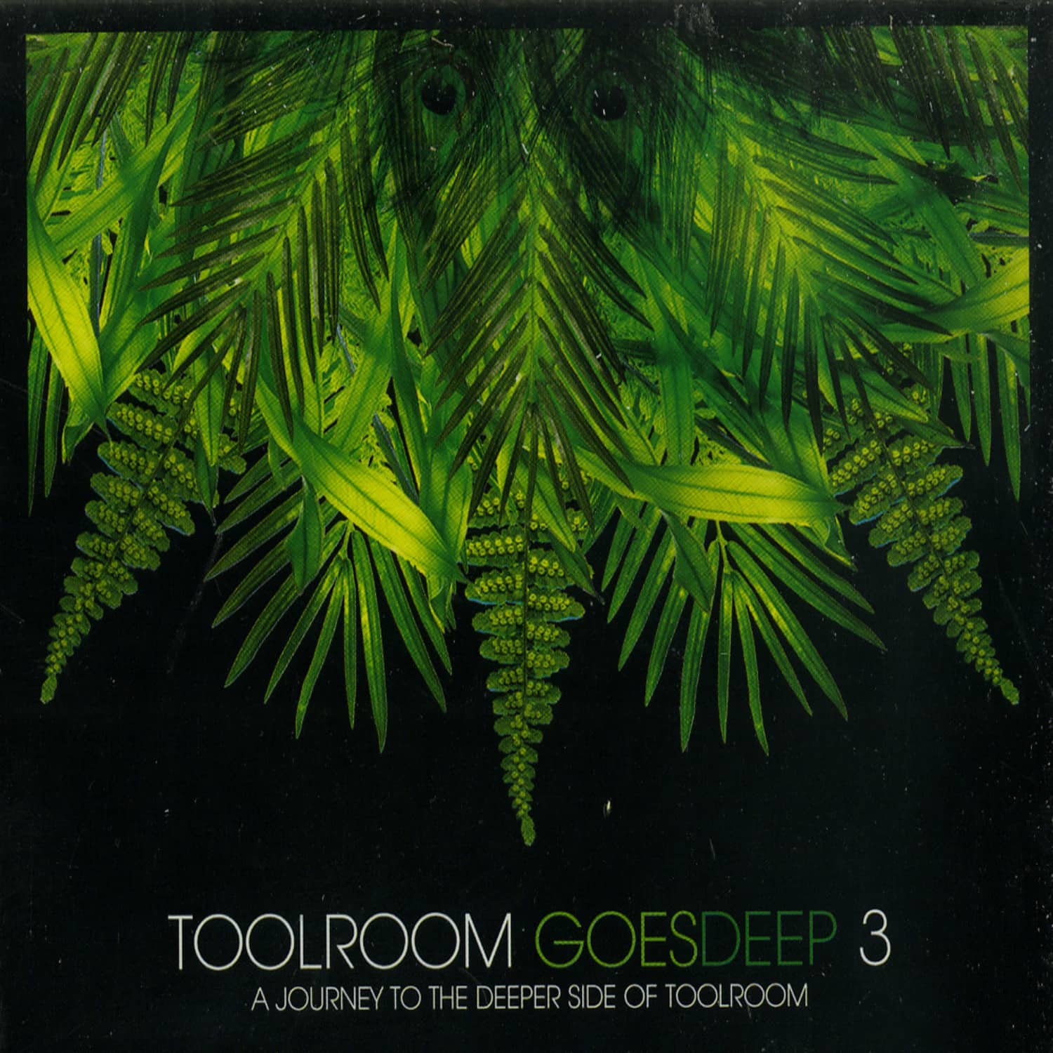 Various Artists - TOOLROOM GOES DEEP 3 