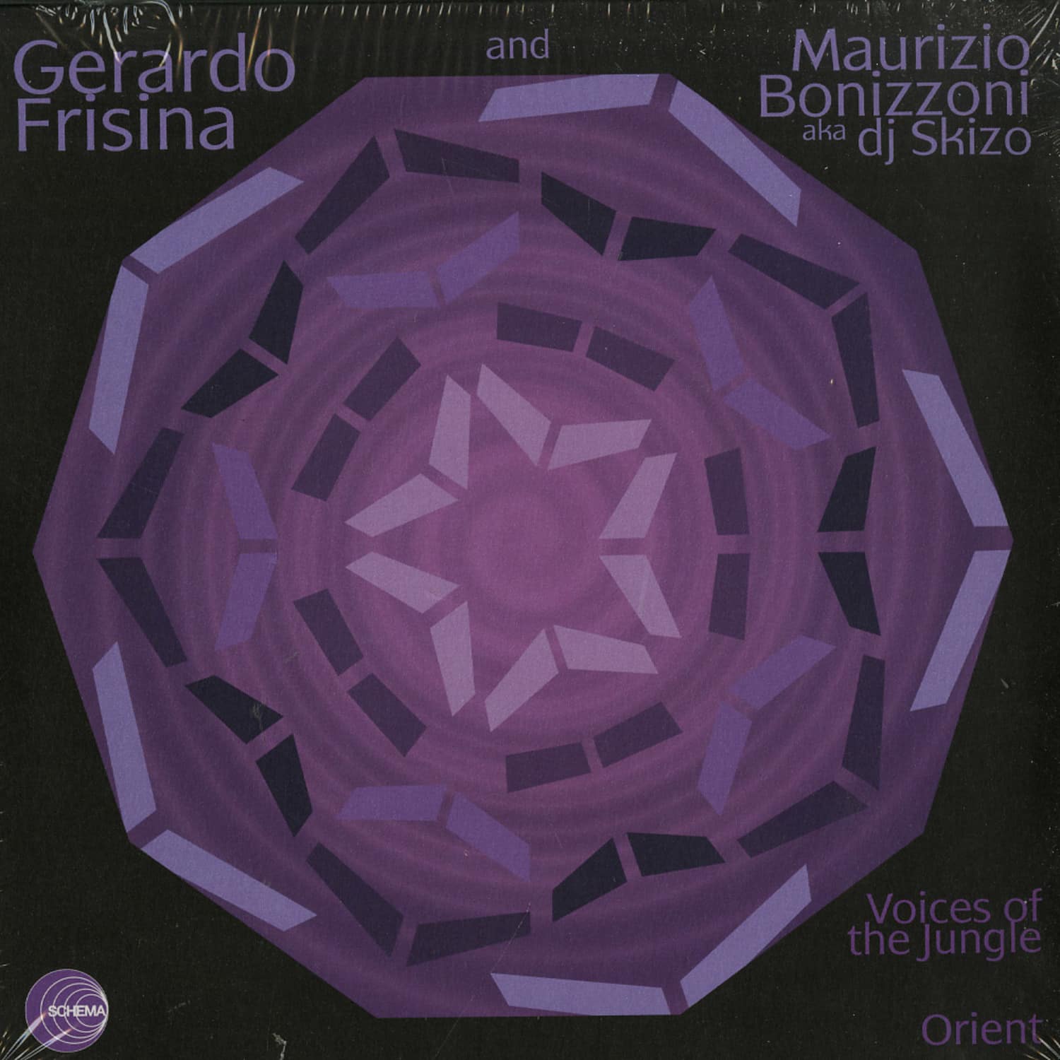 Gerardo Frisina & Maurizio Bonizzoni - VOICES OF THE JUNGLE 