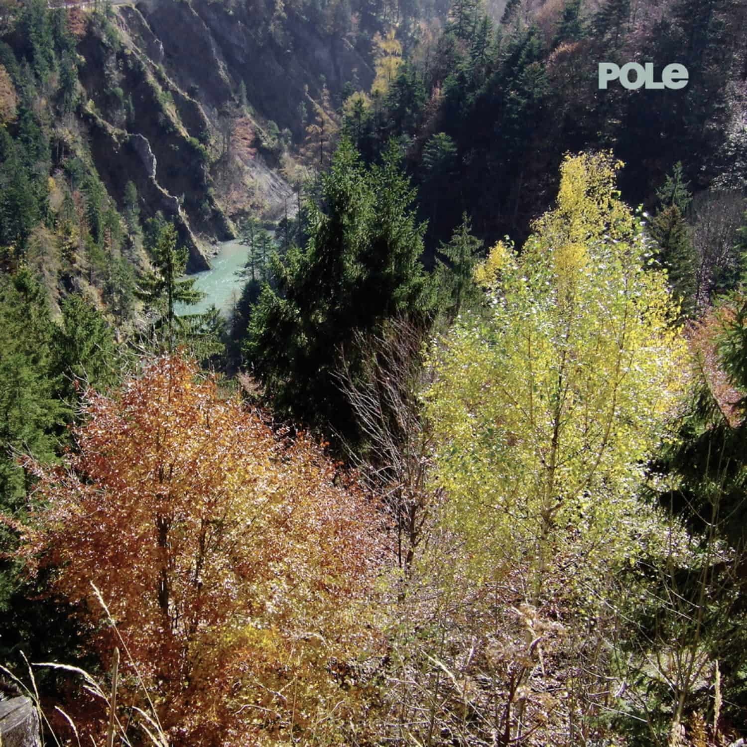 Pole - WALD