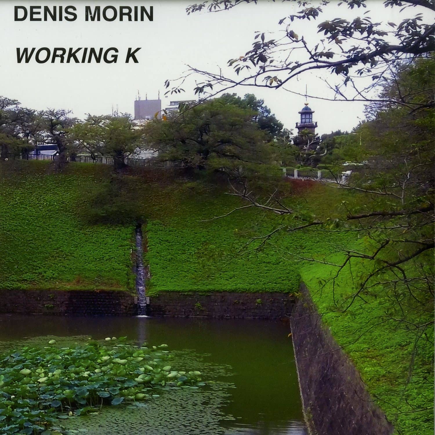 Denis Morin - WORKING K