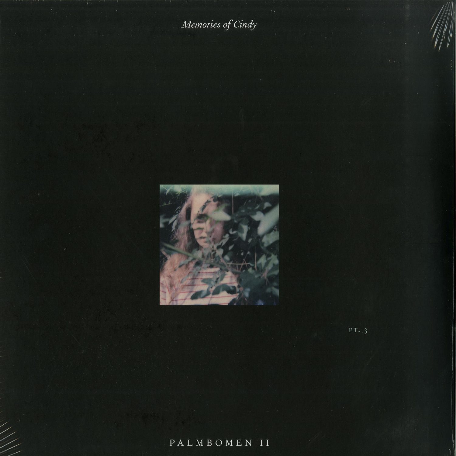 PALMBOMEN II - MEMORIES OF CINDY PT. 3