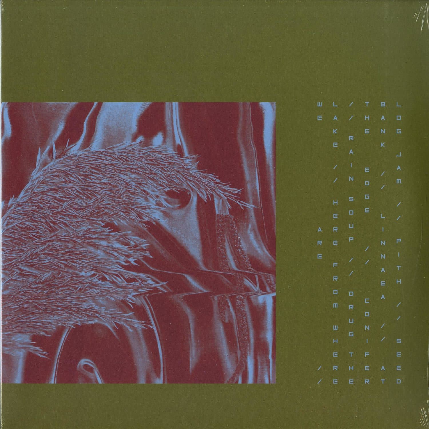 Pariah - HERE FROM WHERE WE ARE 