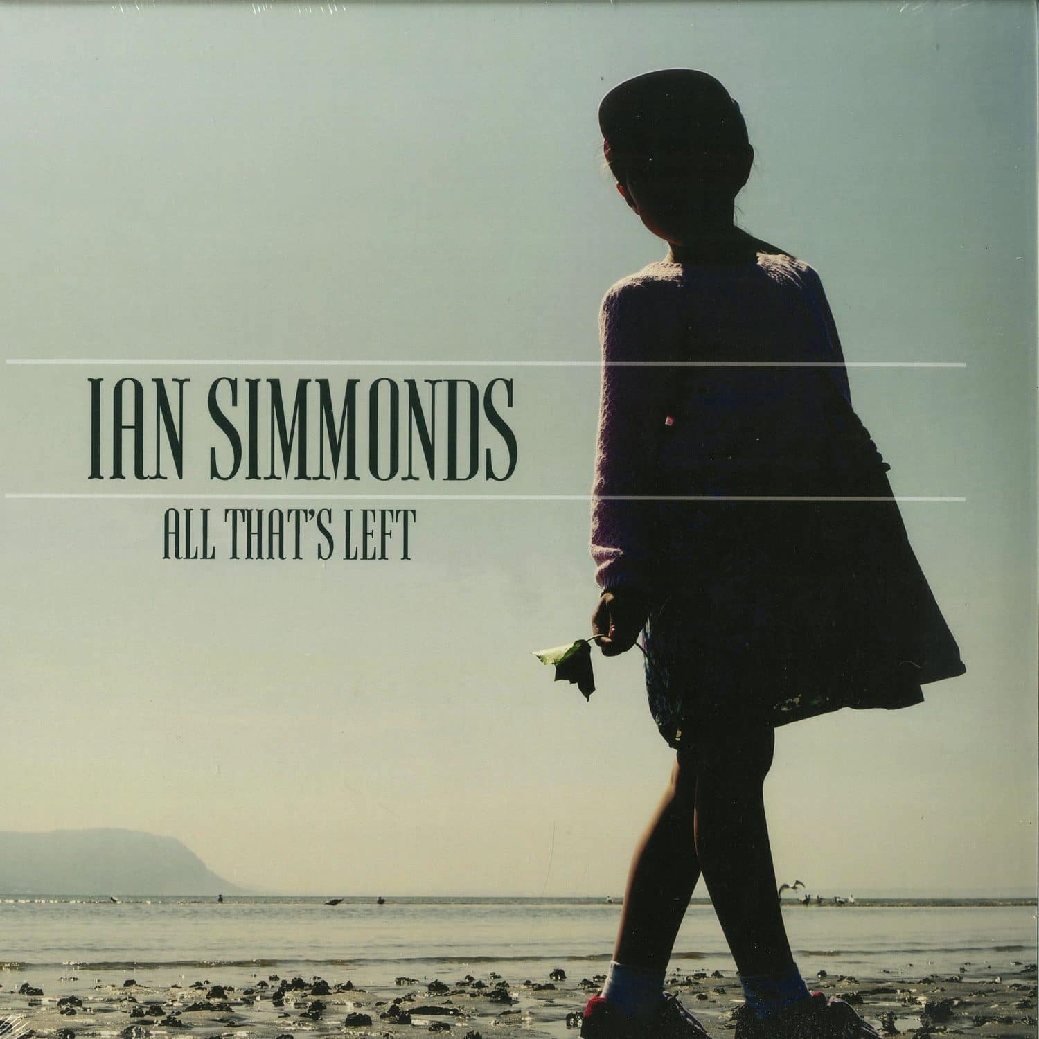 Ian Simmonds - ALL THATS LEFT 