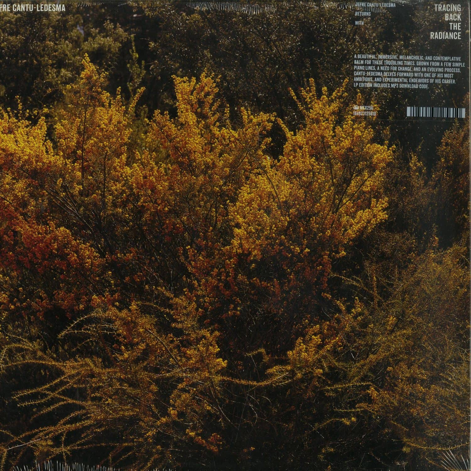 Jefre Cantu Ledesma - TRACING BACK THE RADIANCE 